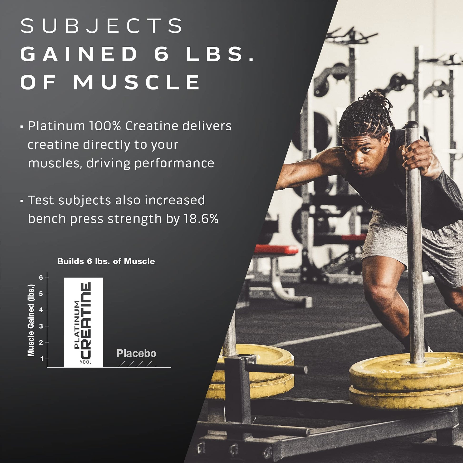 Muscletech Whey Protein Powder Phase8 Protein Powder & nohydrate Powder Platinum MuscletechAu supplements