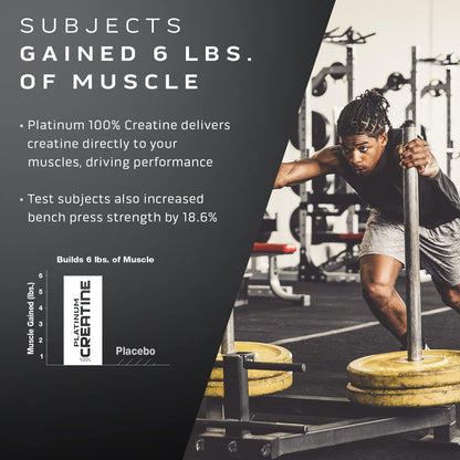 Muscletech Whey Protein Powder Phase8 Protein Powder & nohydrate Powder Platinum MuscletechUS supplements