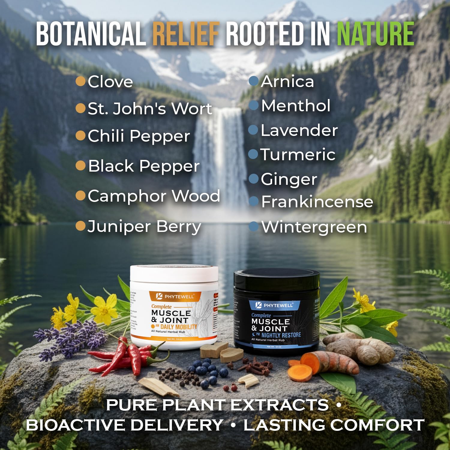 PHYTEWELL Muscle & Joint Rub Balm - Day & Night Pain Relief for Back, Knee, & Shoulder - Crafted with Arnica, Clove & Black Pepper to Support Recovery & Relaxation – Premium Non-Greasy Texture PHYTEWELLAu supplements