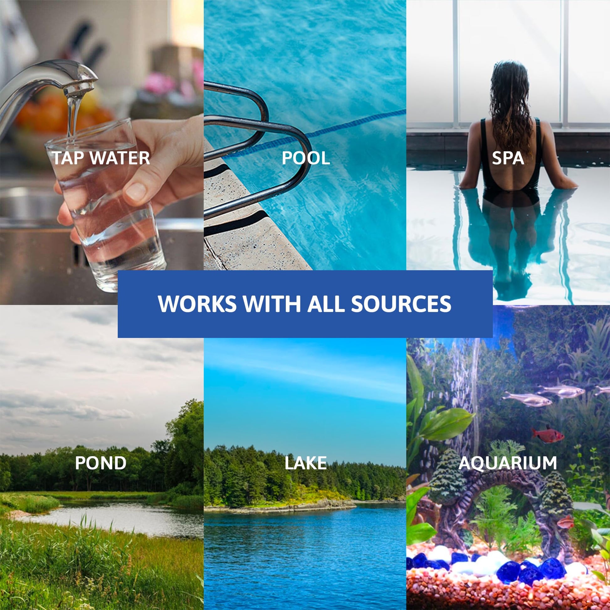 Exploro® Bacteria Water Test Kit, Pond Water Test Kit, Pool Water Testing Kit, Water Testing Kits for Drinking Water for Coliform (E. coli), EPA Approved Pool Test Kit (1 Pack) ExploroAu supplements