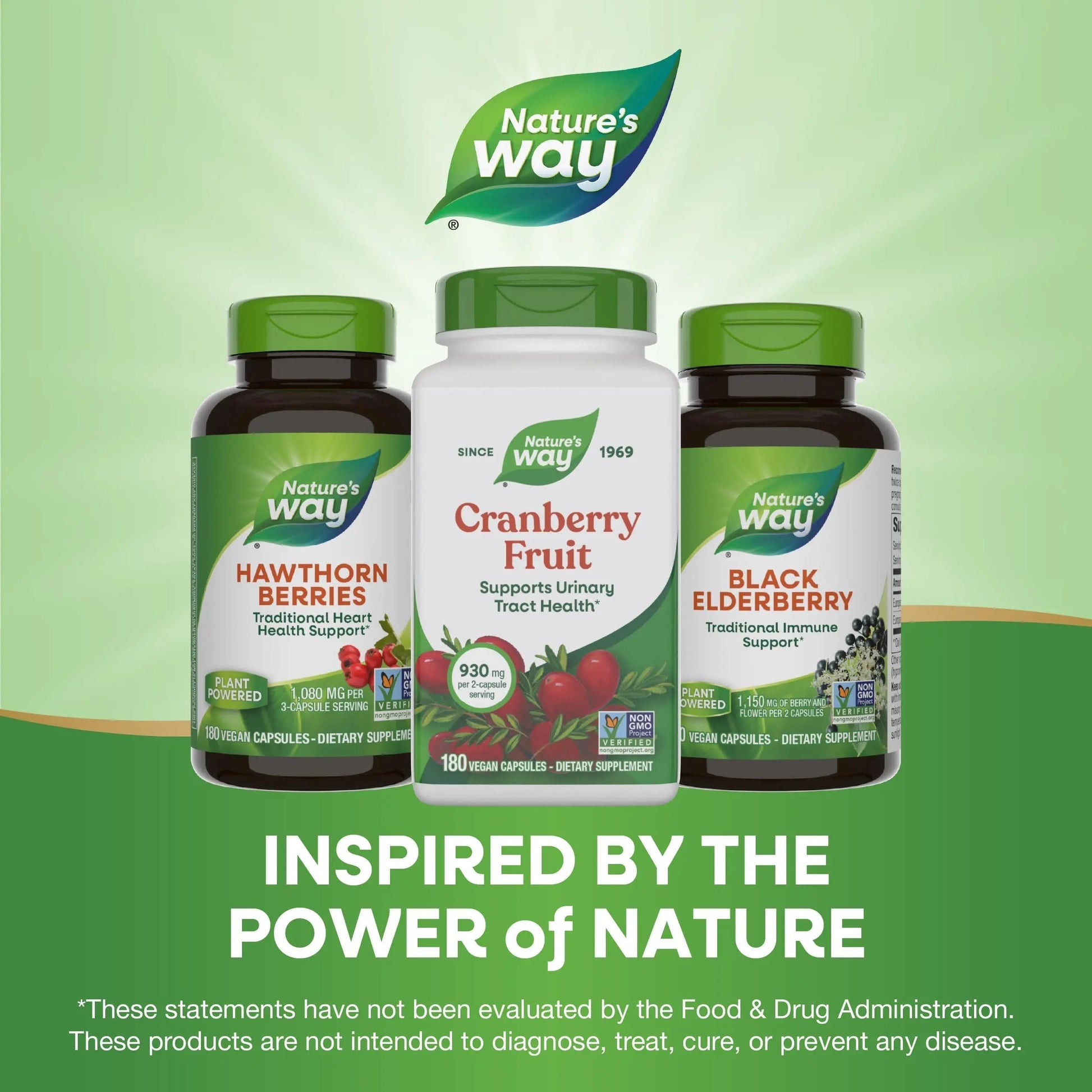 Nature's Way Cranberry Fruit, Cranberry Supplements, Supports Urinary Tract Health*, 930 mg per 2-Capsule Serving, 180 Capsules (Packaging May Vary) Nature's WayAu supplements