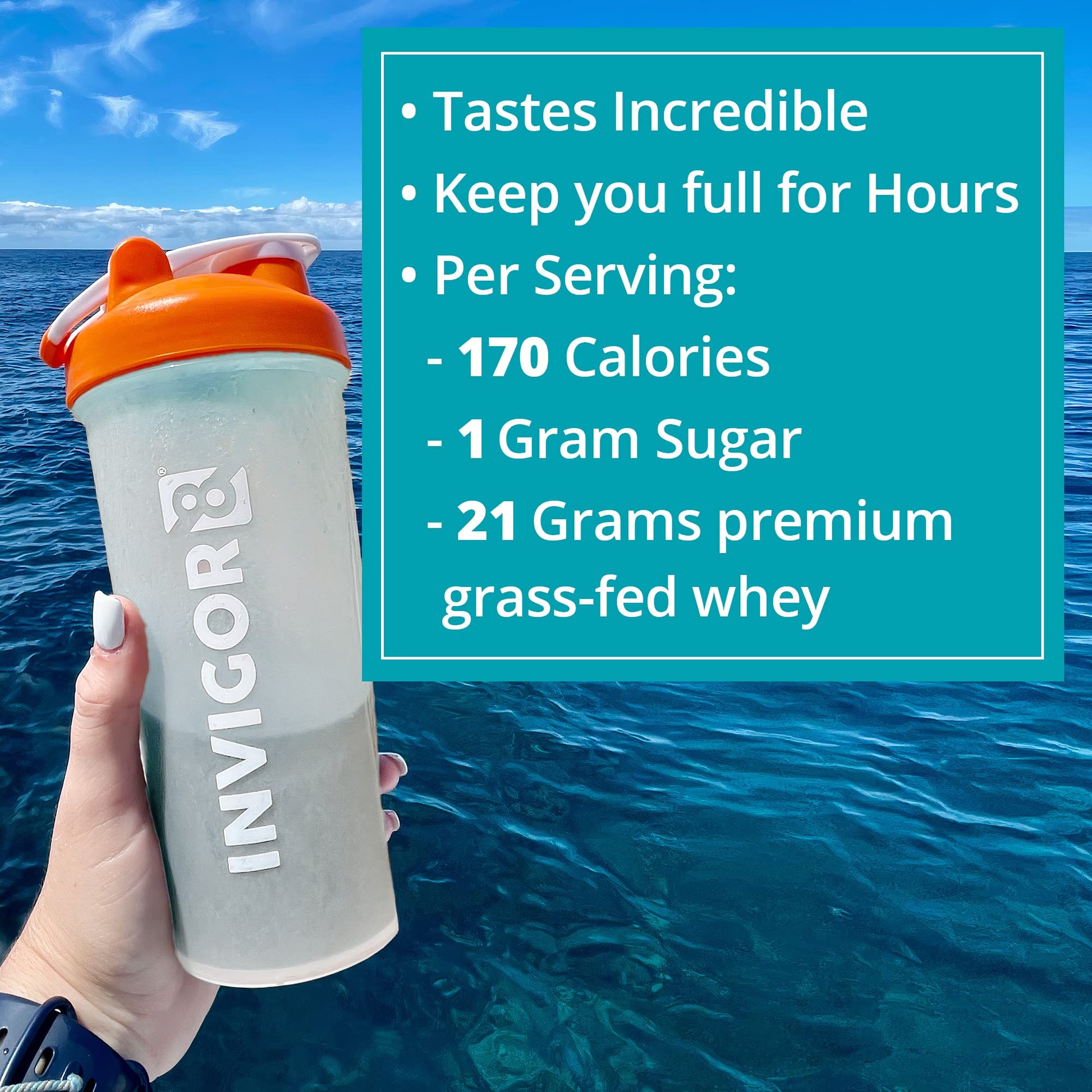 INVIGOR8 Superfood Grass Fed Whey Protein Isolate Shake French Vanilla Gluten-Free INVIGOR8US supplements