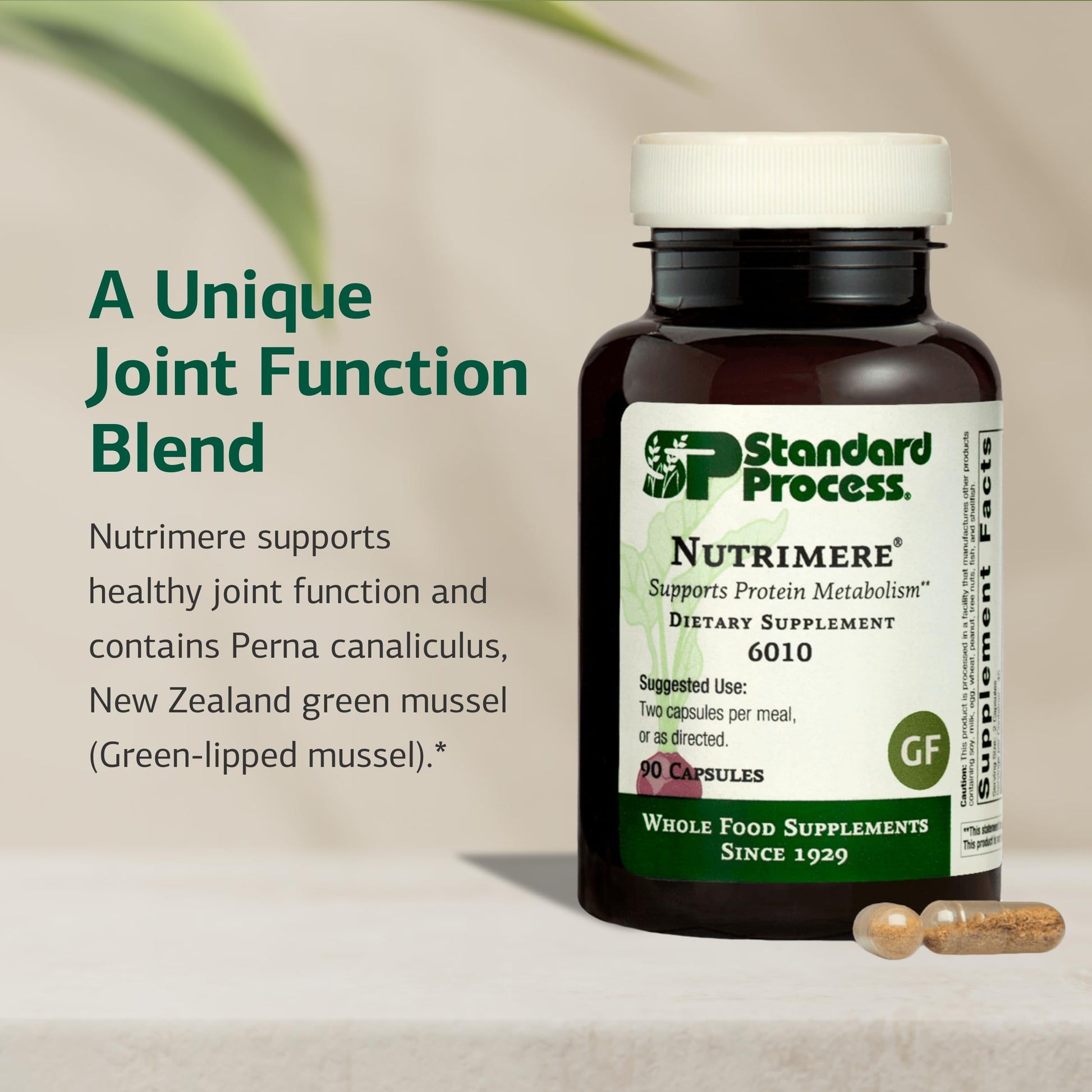 Standard Process Nutrimere - Supports Joint Health - Joint Supplement with Perna Canaliculus & New Zealand Green Mussel - Gluten-Free, Non-Soy & Non-Dairy - 90 Capsules Standard Process Inc.Au supplements