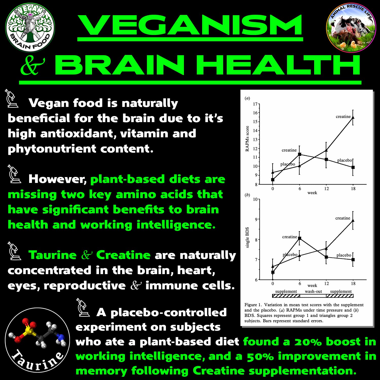 Vegan Brain & Body Boost: The Cherry On Top of A Plant-Based Lifestyle | Working Intelligence | Anti-Aging | Physical Fitness | Vegan Amino Acids - Creatine, Taurine & Beta Alanine | 40 Servings/300g Vegan Brain FoodAu supplements