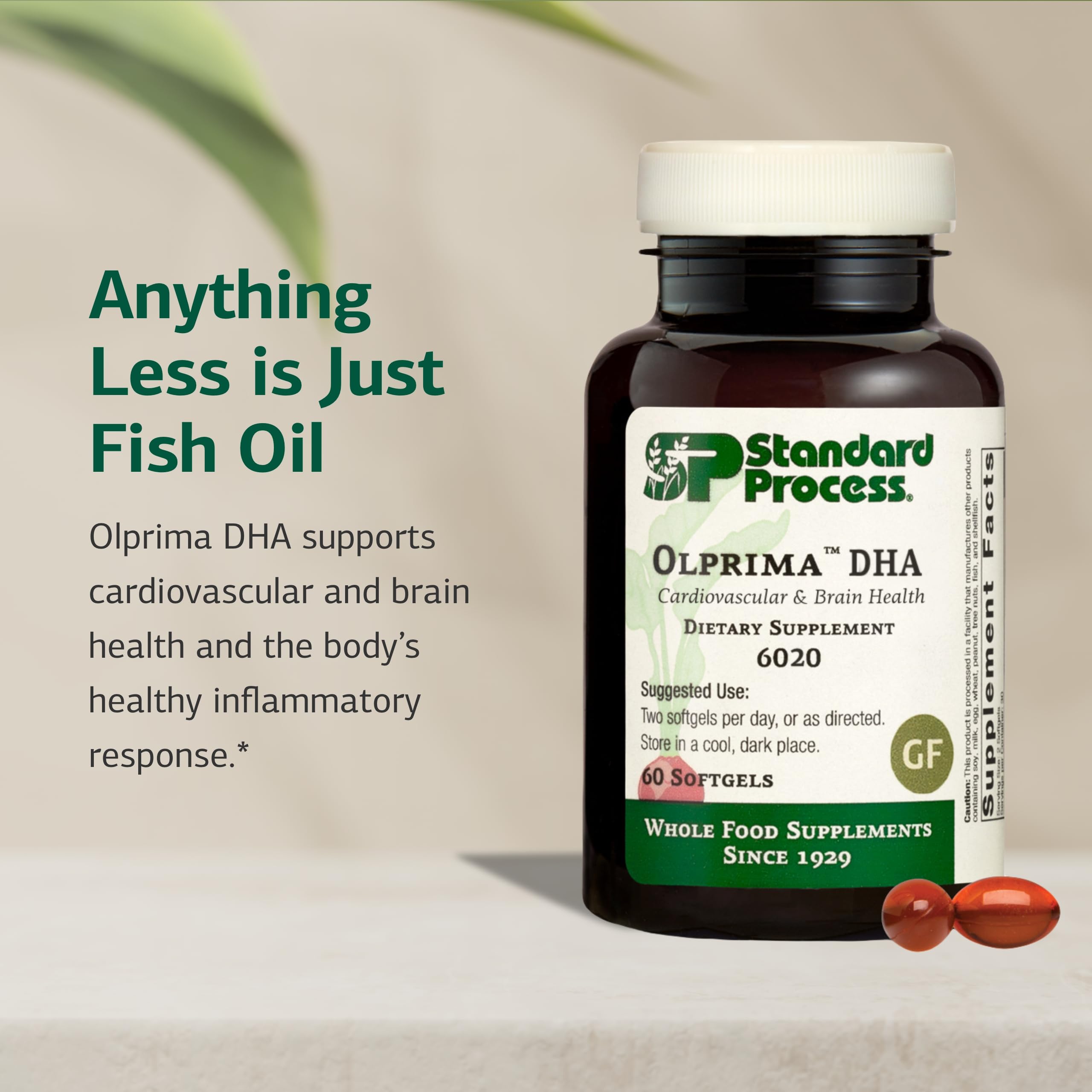 Standard Process Olprima DHA - Omega-3 Supplement for Heart & Brain Health - Gluten-Free, Non-Dairy & Non-Soy - 60 Softgels (30 Servings) Standard Process Inc.Au supplements