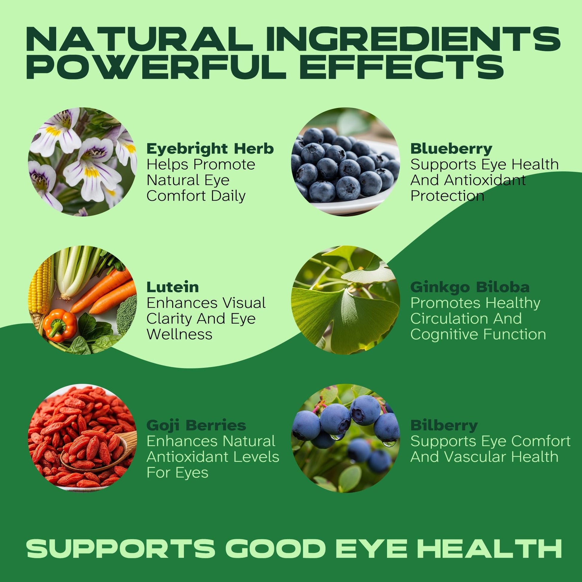 Vitalumina Eyebright Herbal Liquid with Organic Euphrasia, Lutein, Bilberry, Blueberry & Goji – Plant-Based Vegan Supplement for Adults – 4 fl oz VitaluminaAu supplements