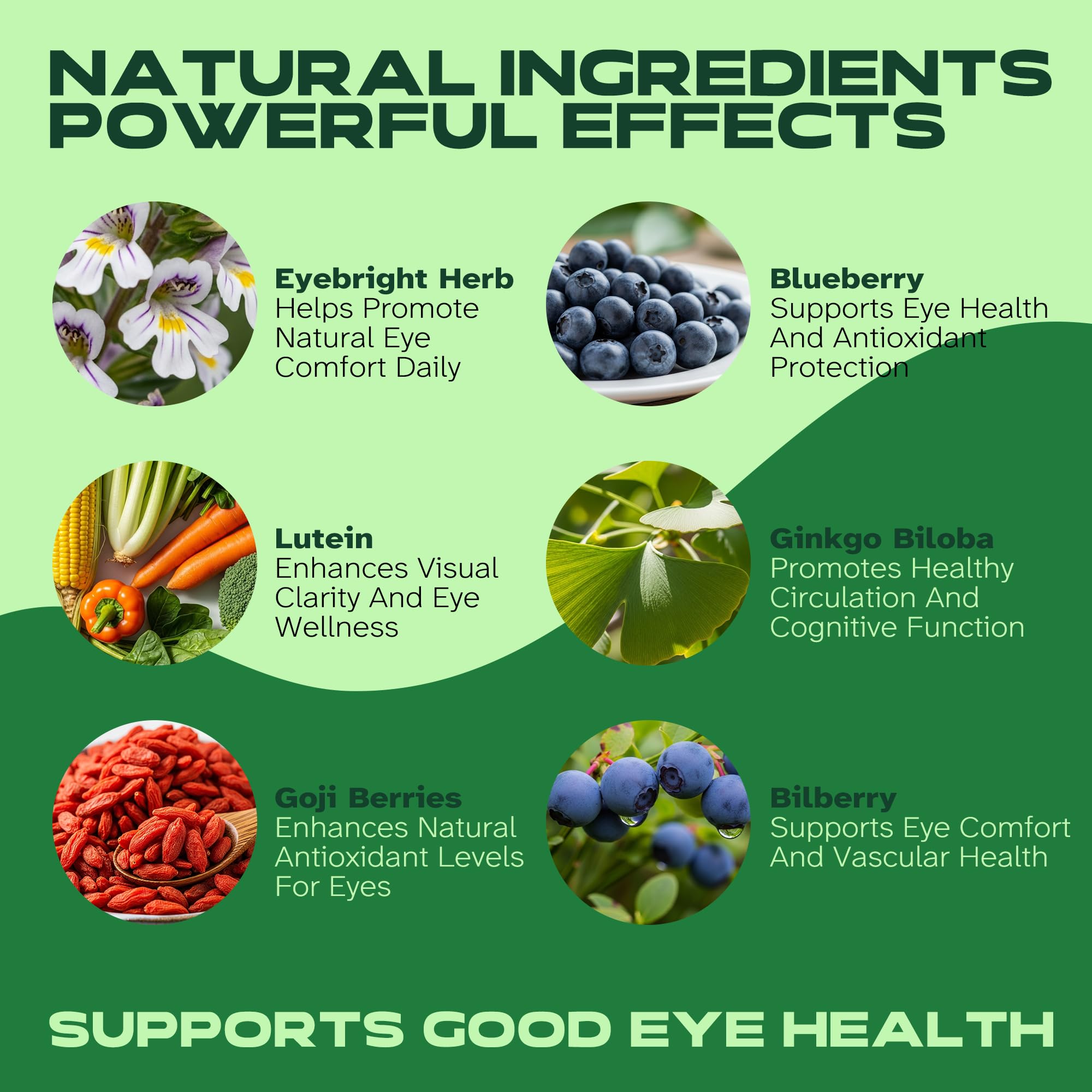 Vitalumina Eyebright Herbal Liquid with Organic Euphrasia, Lutein, Bilberry, Blueberry & Goji – Plant-Based Vegan Supplement for Adults – 4 fl oz VitaluminaAu supplements