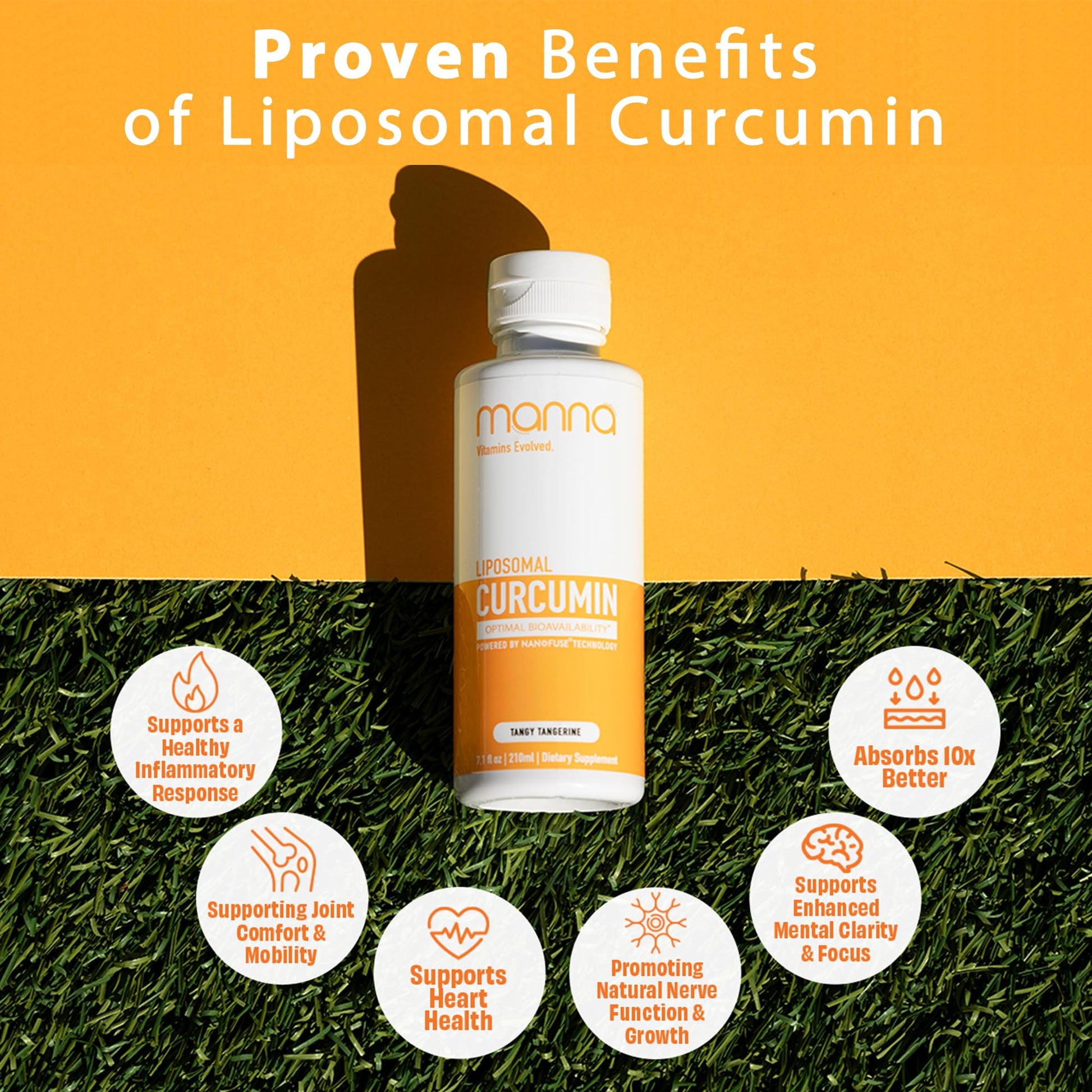 Manna Vitamins Evolved Liposomal Liquid Curcumin for Advanced Absorption Best Turmeric Supplement for Daily Joint & Immune Health Support - Vegan, Non-GMO, 95% Curcuminoids (1 Pack) Manna Vitamins EvolvedAu supplements