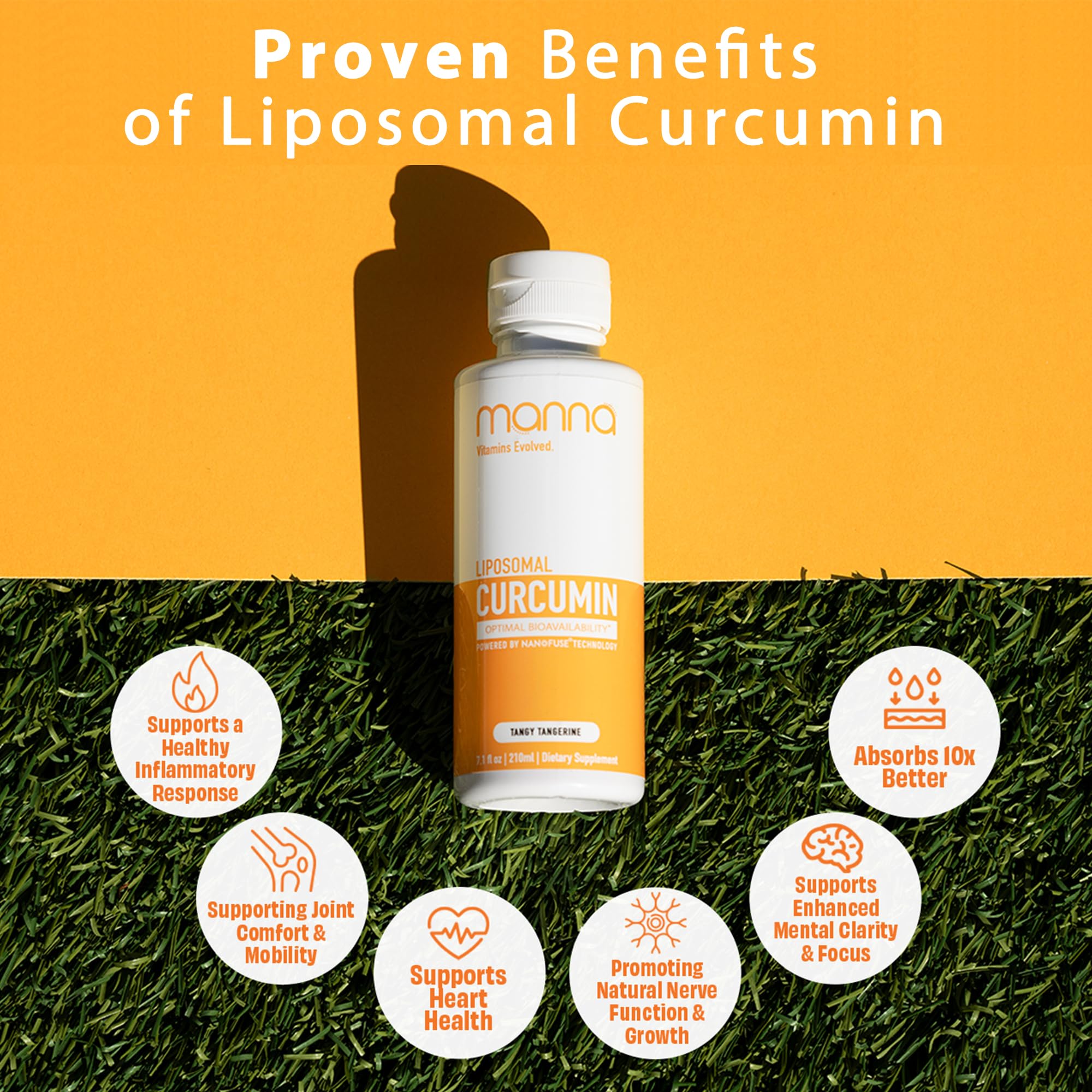 Manna Vitamins Evolved Liposomal Liquid Curcumin for Advanced Absorption Best Turmeric Supplement for Daily Joint & Immune Health Support - Vegan, Non-GMO, 95% Curcuminoids (1 Pack) Manna Vitamins EvolvedAu supplements