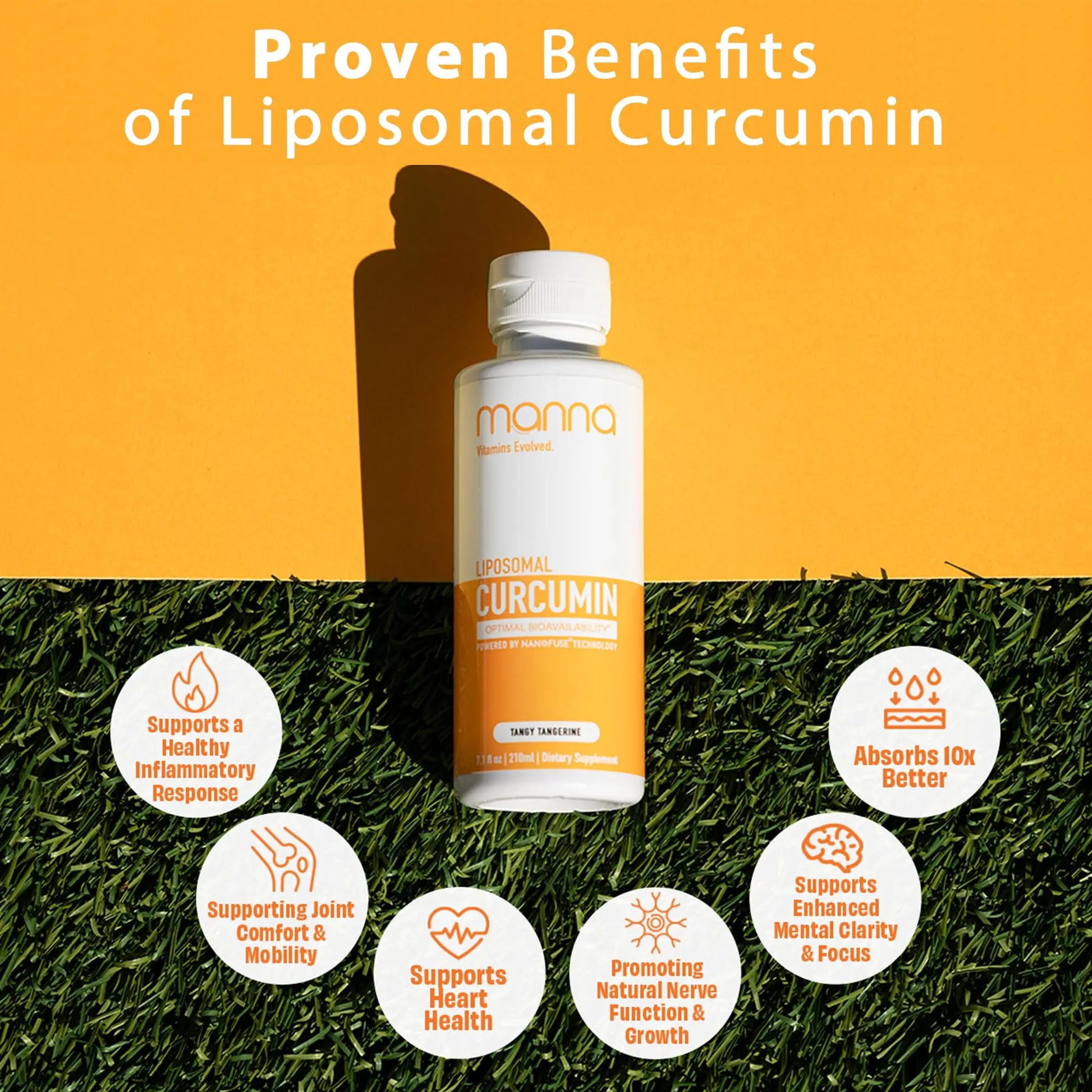 Manna Vitamins Evolved Liposomal Liquid Curcumin for Advanced Absorption Best Turmeric Supplement for Daily Joint & Immune Health Support - Vegan, Non-GMO, 95% Curcuminoids (1 Pack) Manna Vitamins Evolvednz supplements