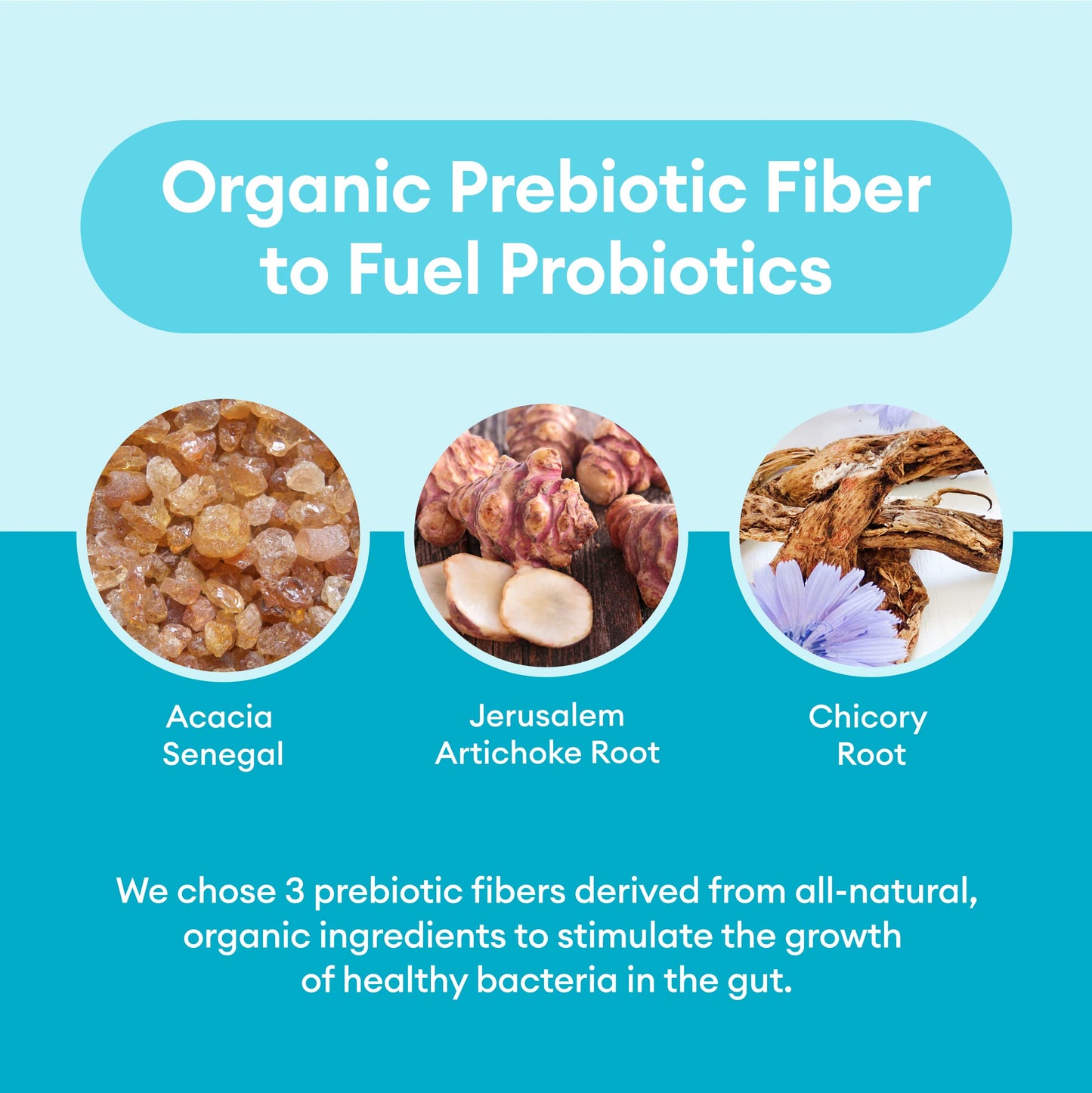 Physician's CHOICE Probiotics 60 Billion CFU - 10 Strains + Organic, 60ct Physician's CHOICEUS supplements
