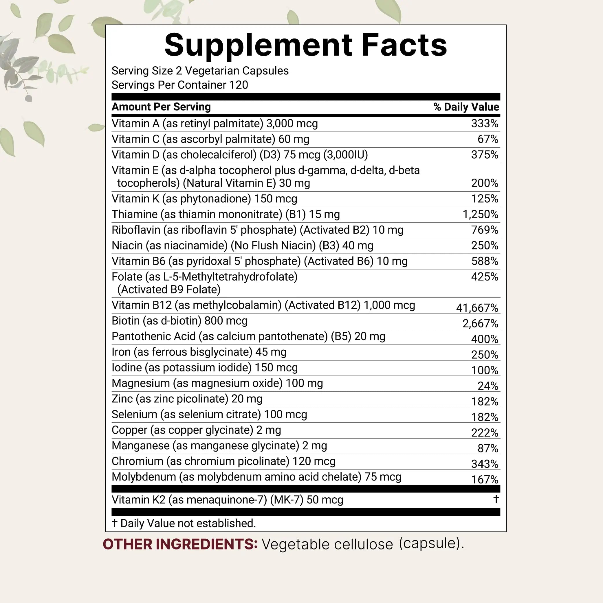 Micro Ingredients Methylated Bariatric Multivitamin with 45mg Iron, 240 Veggie Capsules | 23-in-1 Essential Vitamins with D3, K2, Zinc & More | Micro IngredientsAu supplements