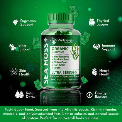 WELLNESS LABSRX Sea Moss Gummies, 3200mg Organic Seamoss, Irish Sea Moss WELLNESS LABSRXUS supplements