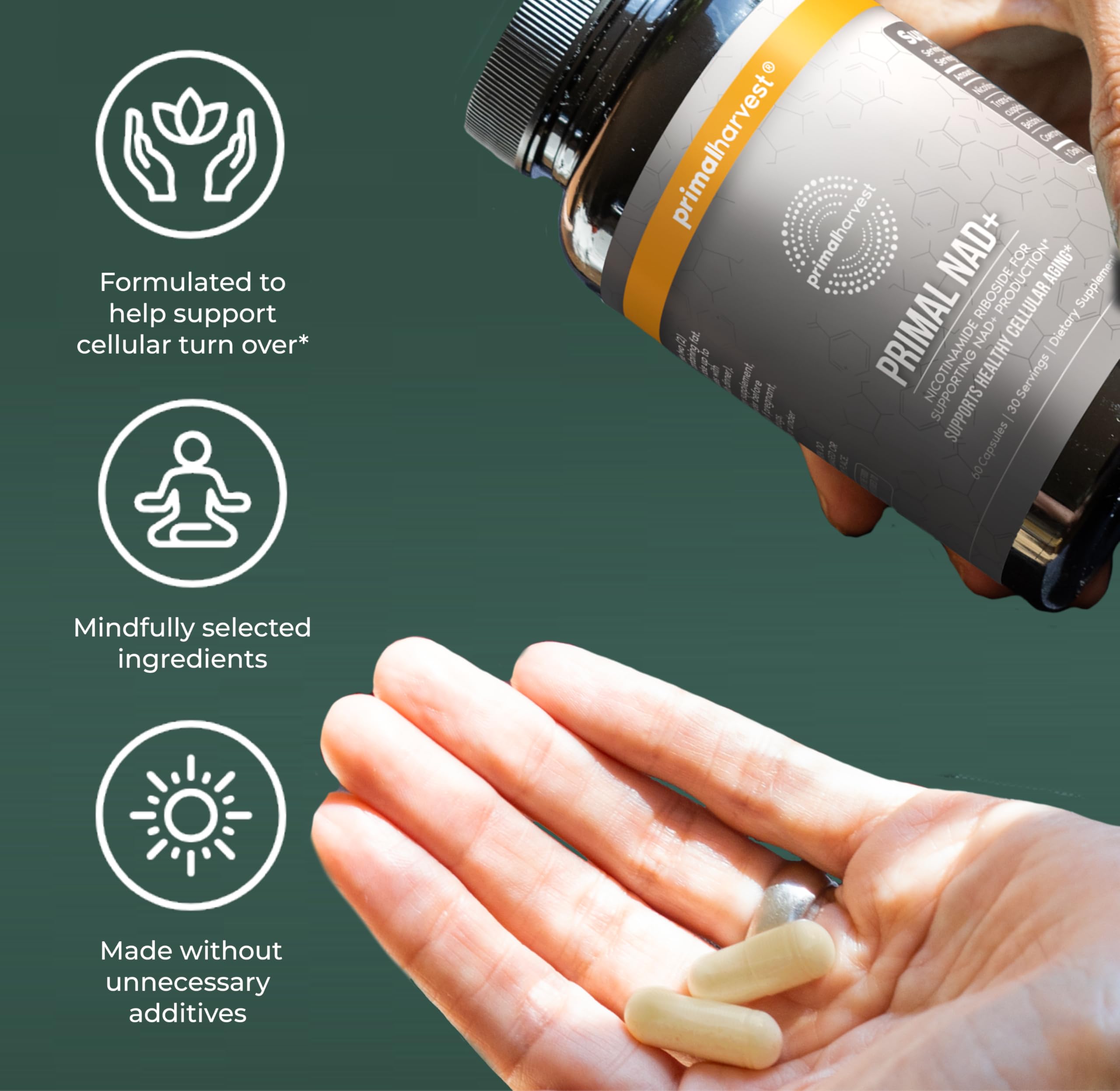 Primal Harvest NAD+ Supplement: Nicotinamide Riboside, Trans-Resveratrol, Betaine, CoQ10, NAD Supplements for Cellular Health, Energy, and Mitochondrial Support (60 Count (1 Pack) Primal HarvestAu supplements