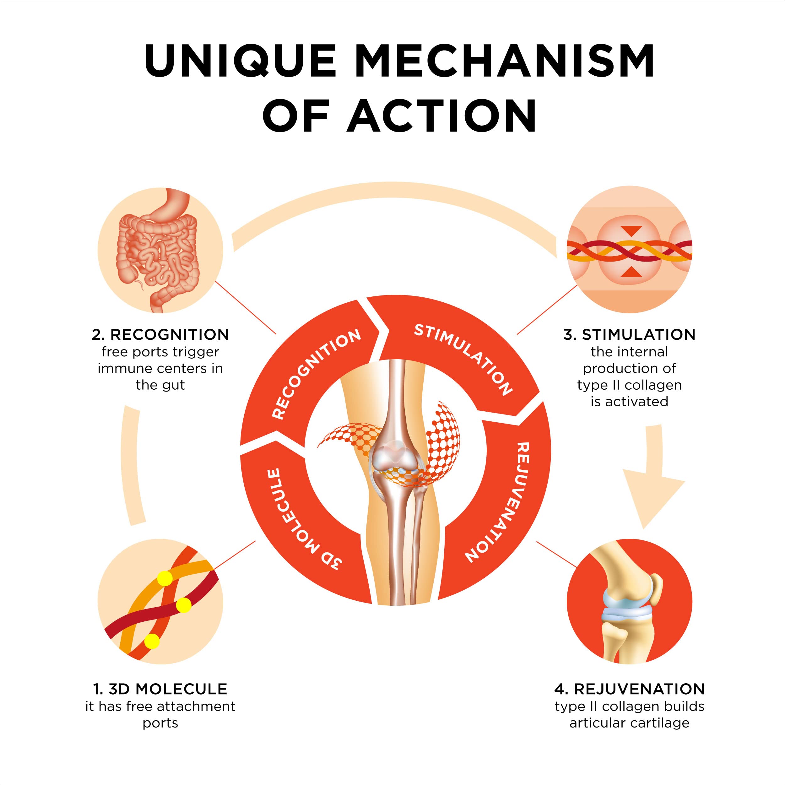 Innovation in The Care of Healthy Joints – Liquid Formula in a Double Capsule. 3D Collagen + Micelle Extract of Turmeric Roots 1 Capsule/Day. Laboratory Tested CollanolAu supplements