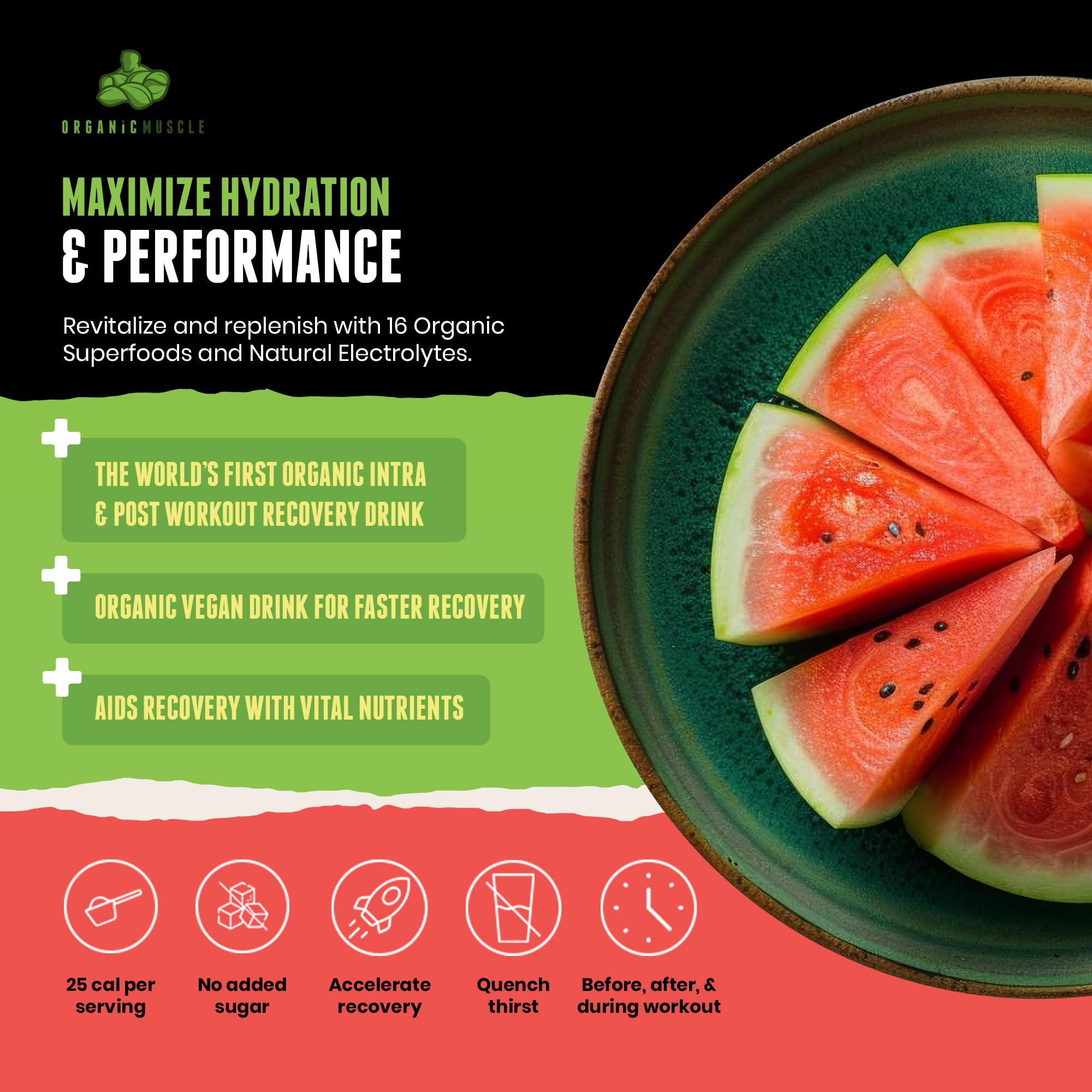Organic Muscle Hydrator | Natural Electrolyte Powder for Peak Performance & Recovery - Watermelon Flavor, 20 Servings Organic MuscleAu supplements