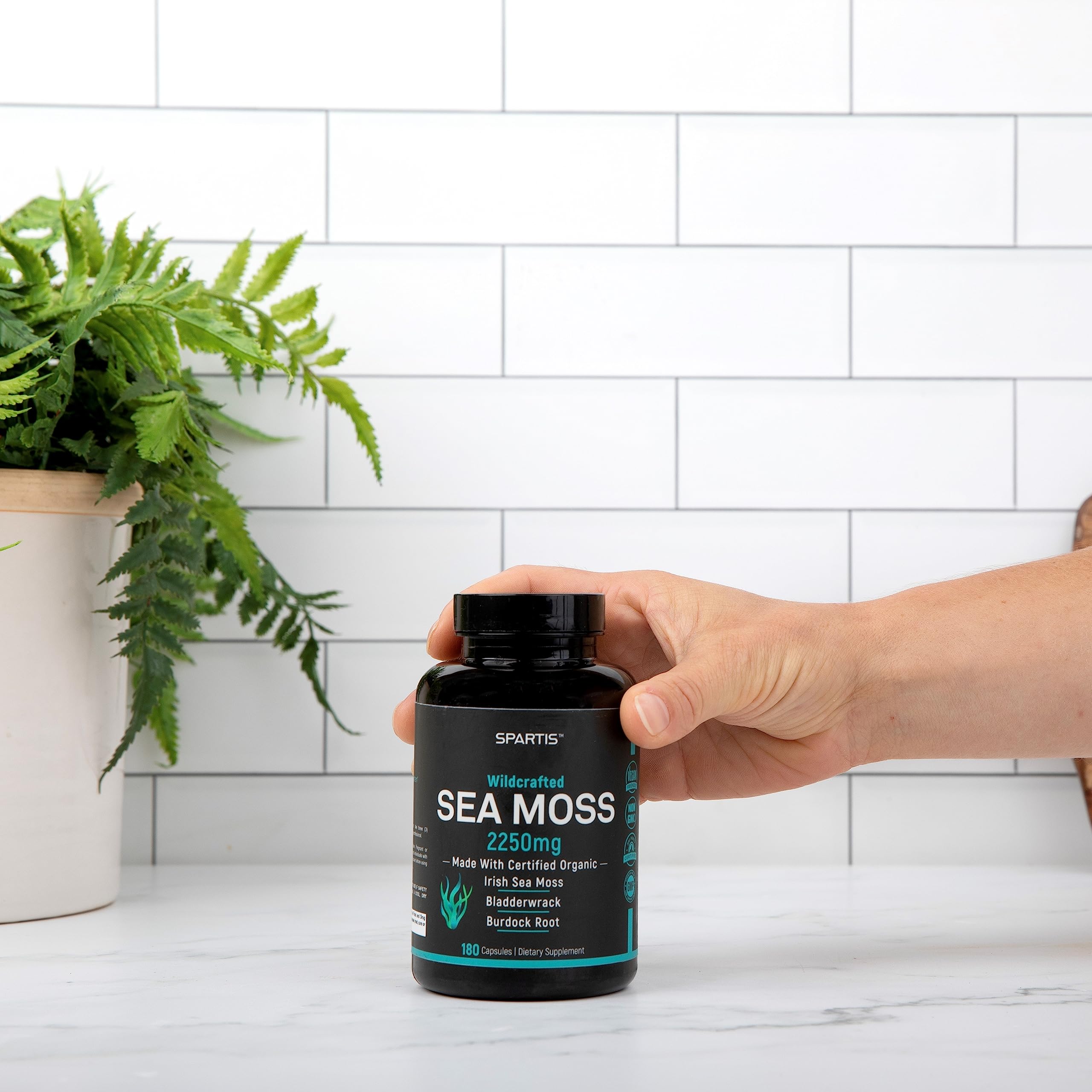 Certified Organic Sea Moss Capsules 2250mg Wildcrafted Irish Sea Moss Burdock Root SPARTISUS supplements
