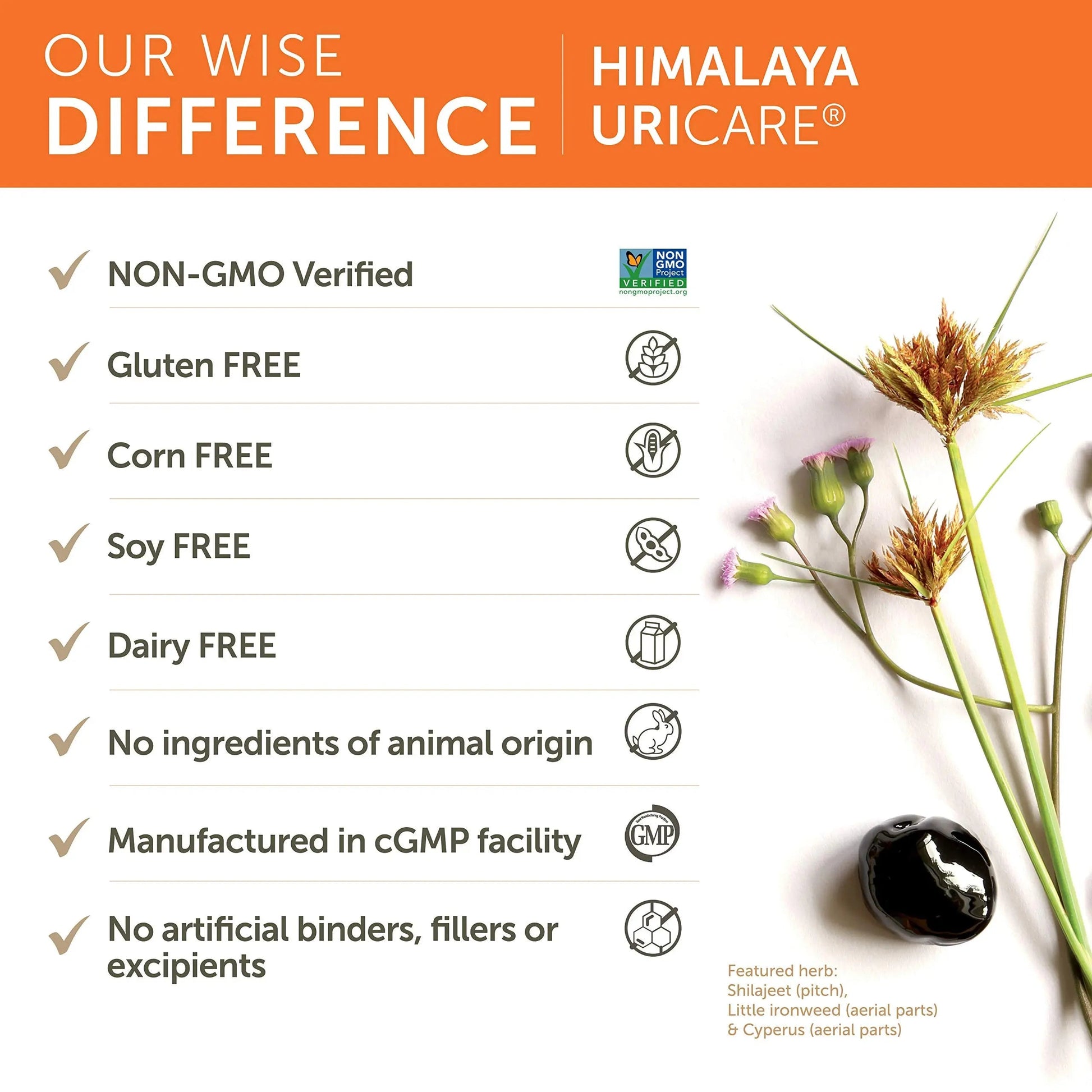 Himalaya UriCare Herbal Supplement, Kidney & Bladder Support, Urinary Tract & Urine Flow Support, Caffeine Free, Non-GMO, Gluten Free, Vegetarian, 240 Capsules, 60 Day Supply HimalayaAu supplements
