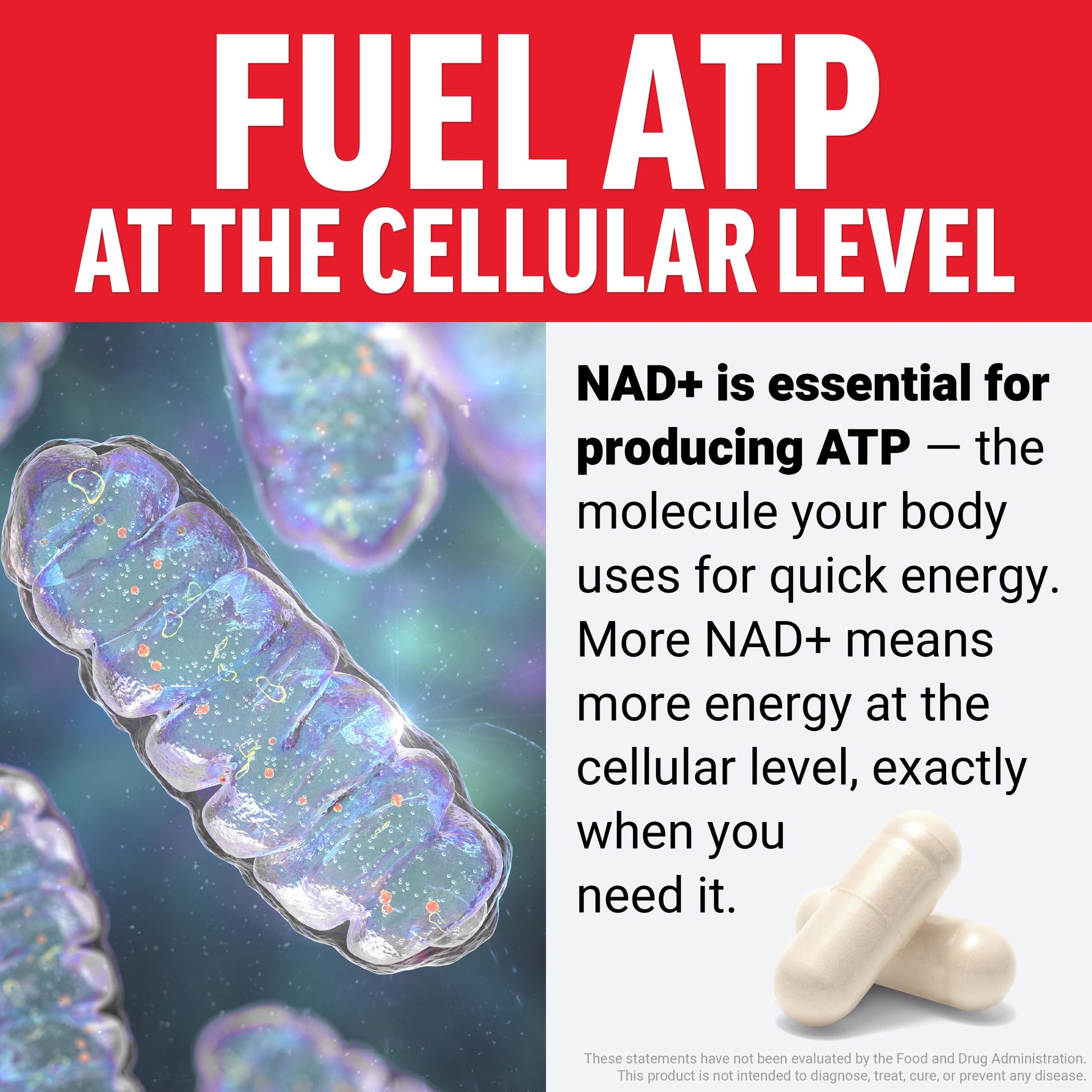 Force Factor NMN Supplement, Nicotinamide Mononucleotide to Support Healthy Aging and Energy Metabolism, Boosts NAD+ Levels, No Gelatin, Non-GMO, 30 Vegetable Capsules Force FactorAu supplements