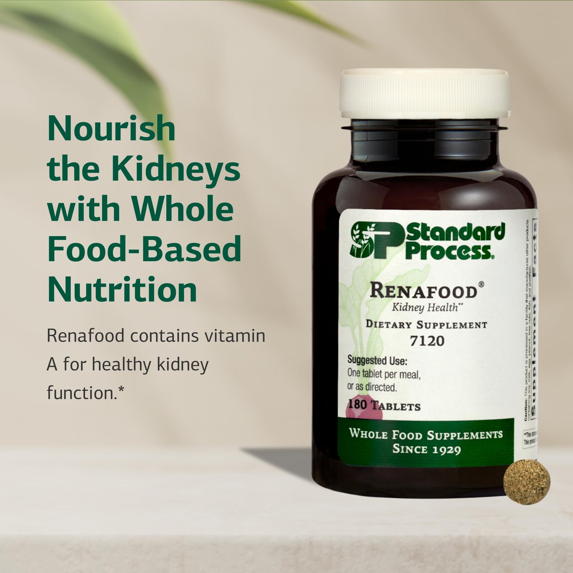 Standard Process Renafood - Supports Healthy Kidney Function & Antioxidant Activity - Contains Vitamins A - Non-Soy - 180 Tablets Standard Process Inc.Au supplements