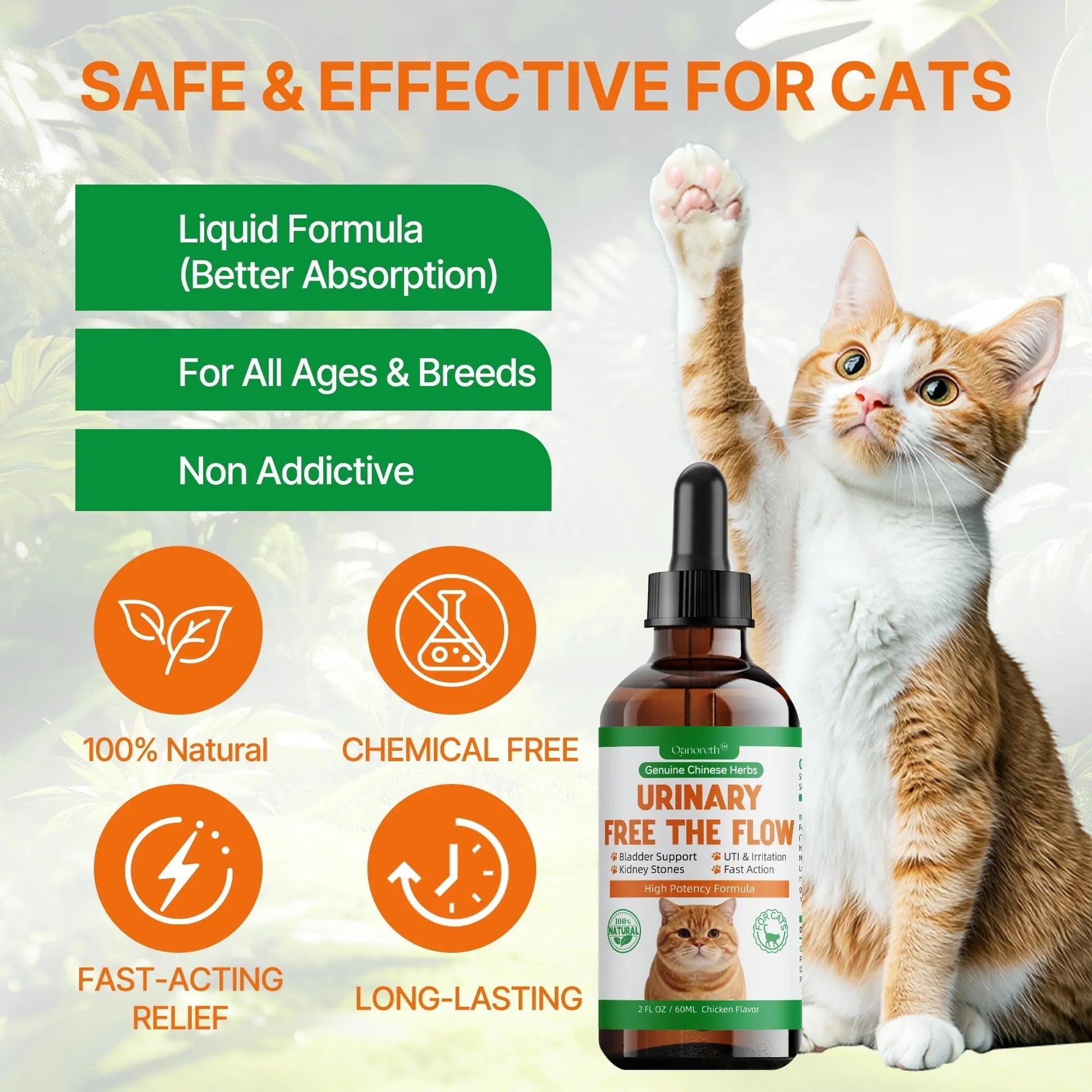 Cat Bladder Remedy for Stones & Crystals, Kidney StonesDissolver forCat- Urinary Free The Flow - Cat Urinary Tract Infection Treatment for Stones, Herbal CatUTI Remedy for Stone Relief & Prevention QanorethAu supplements