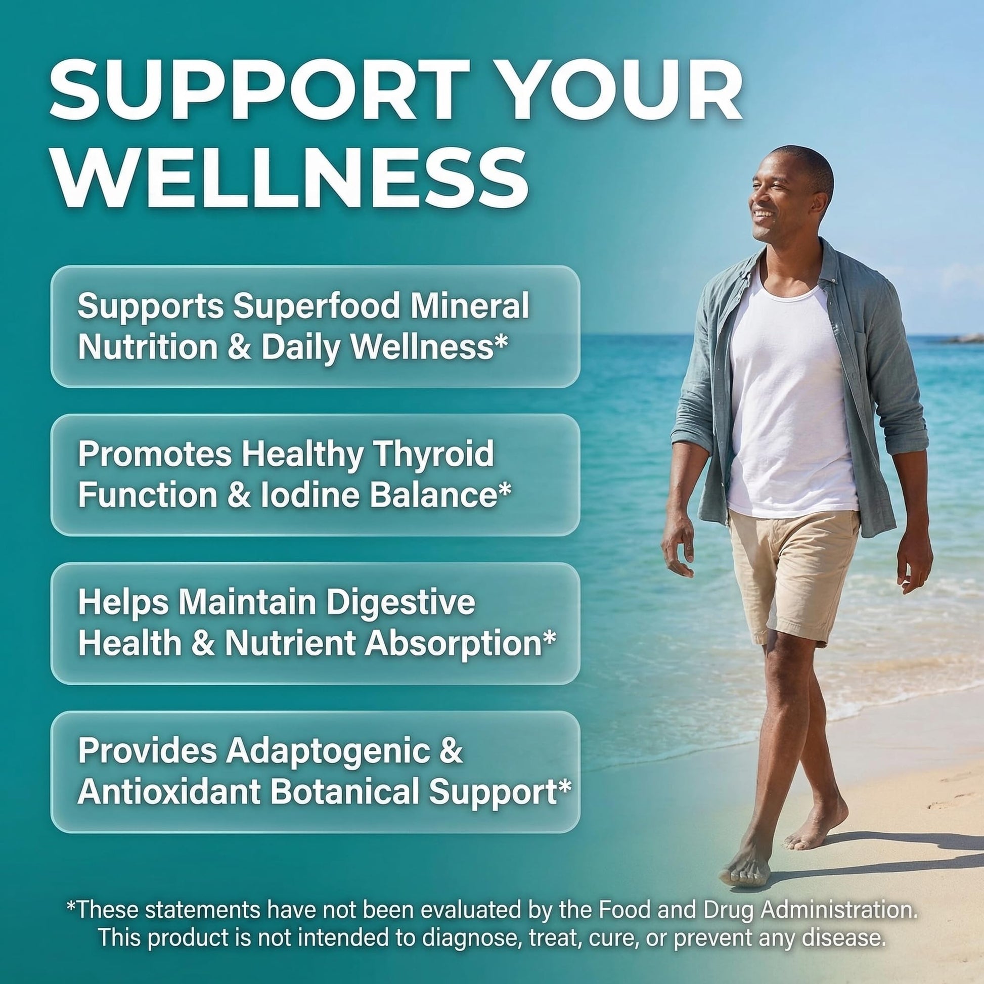 Clean Nutra Organic Sea Moss Capsules with Ashwagandha, Black Seed Oil, Burdock Root, Bladderwrack, Moringa, Chlorella, Spirulina, Turmeric, Elderberry, Amla – 90 Vegan Capsules – MiracleMin Clean NutraceuticalsAu supplements