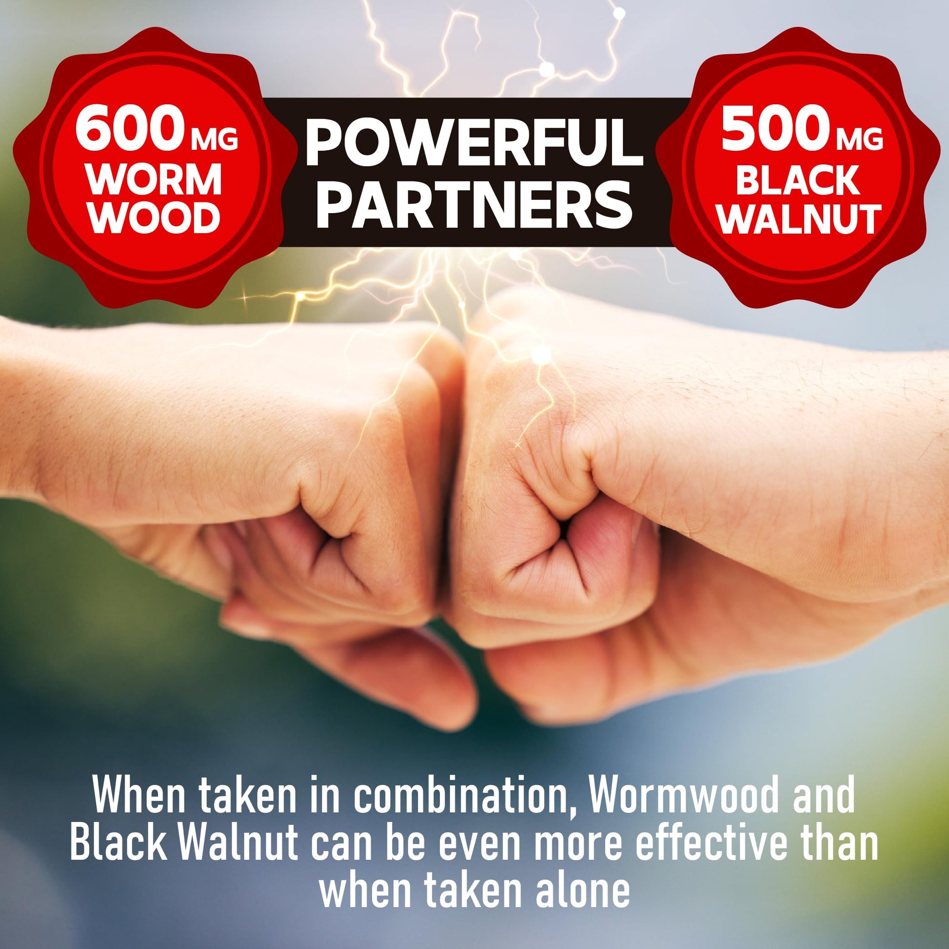 DEDICAD 1500mg Wormwood Capsules with Black Walnut & Cloves - Artemisia Annua Supplement for Immunity - 60 Vegan Capsules DEDICADAu supplements