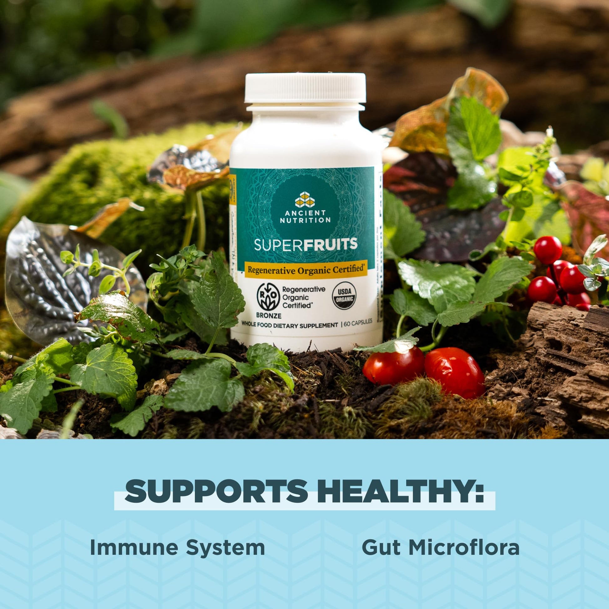 Ancient Nutrition Regenerative Organic Certified SuperFruits Capsules, Supports Gut and Immune System Health, Made with Probiotics, Dragonfruit, Mulberry, and Goji, 60 Count Ancient NutritionAu supplements
