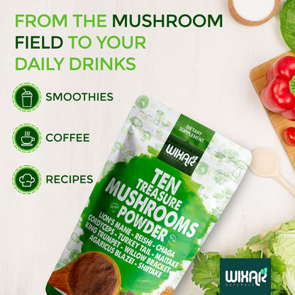 Wixar Mushroom Powder - Ten Treasure Mushrooms Extract Supplement Blend for Coffee WIXAR NATURALSUS supplements