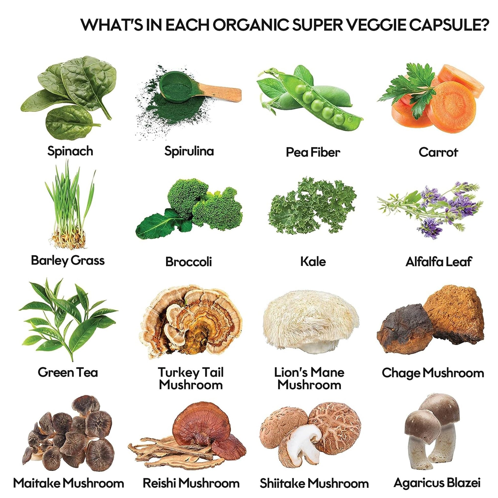 Fruits and Veggies Supplement (60 Day Supply) Powerfull Blend of 39 Whole Fruits and Veggies, Fills Nutritional Gaps, Get Energy, Well-being. USA Made Non-GMO/Vegan/Gluten Free. Packaging May Vary ROOTIEAu supplements