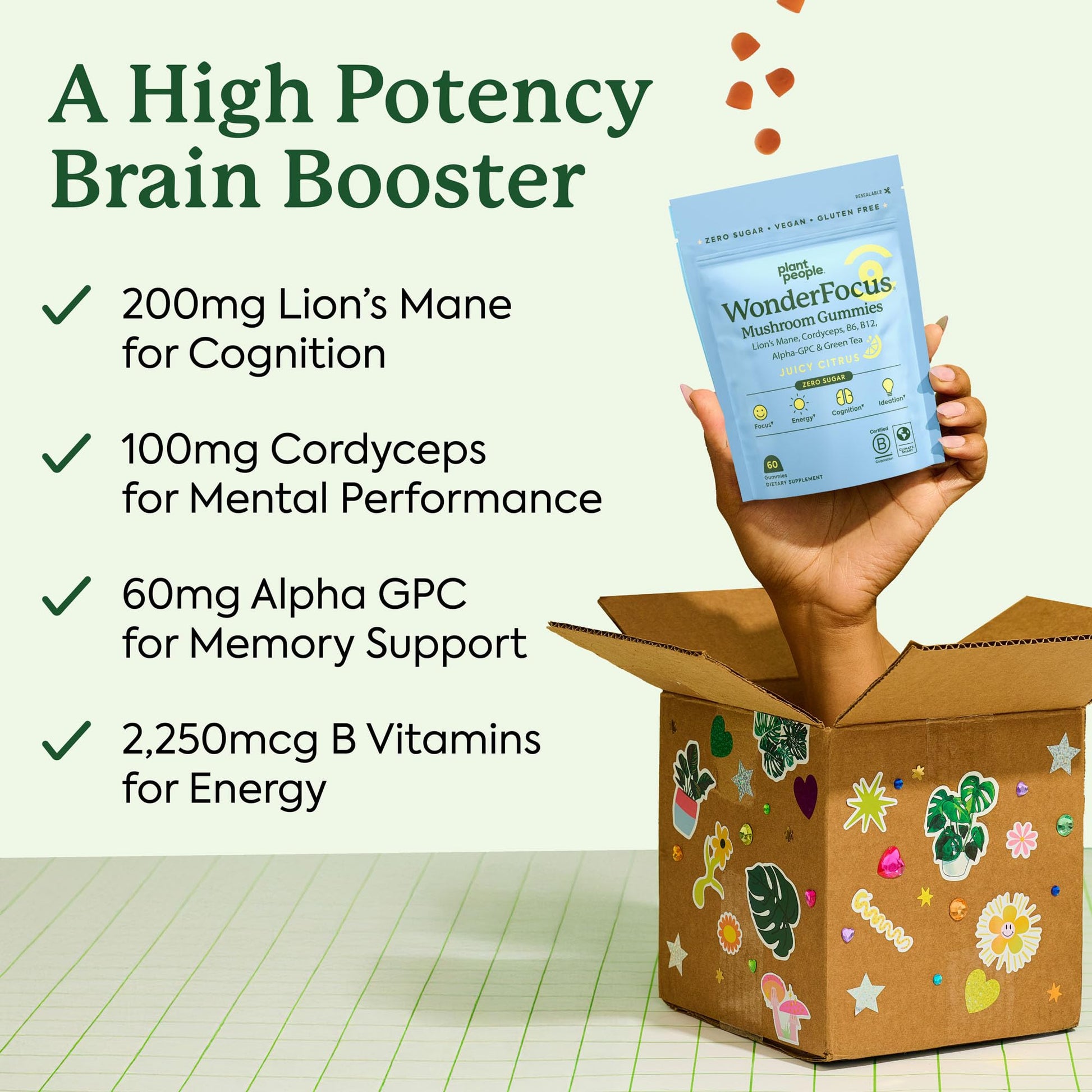 Plant People WonderFocus Mushroom Gummies with Lion’s Mane & Cordyceps - Nootropic Brain Supplement Boosts Memory, Focus, Energy & Mood in Adults | No Sugar, 100% Vegan, Citrus Flavor, 60 Count Plant PeopleAu supplements