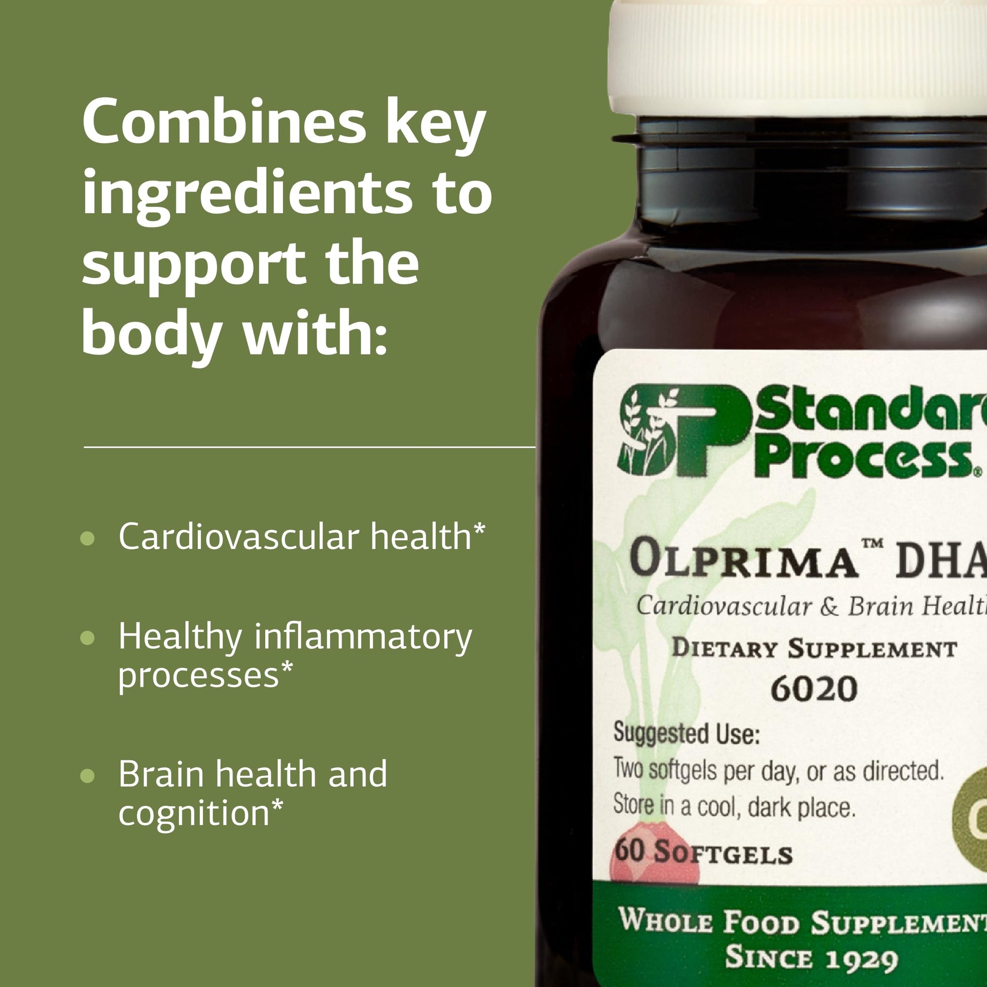 Standard Process Olprima DHA - Omega-3 Supplement for Heart & Brain Health - Gluten-Free, Non-Dairy & Non-Soy - 60 Softgels (30 Servings) Standard Process Inc.Au supplements