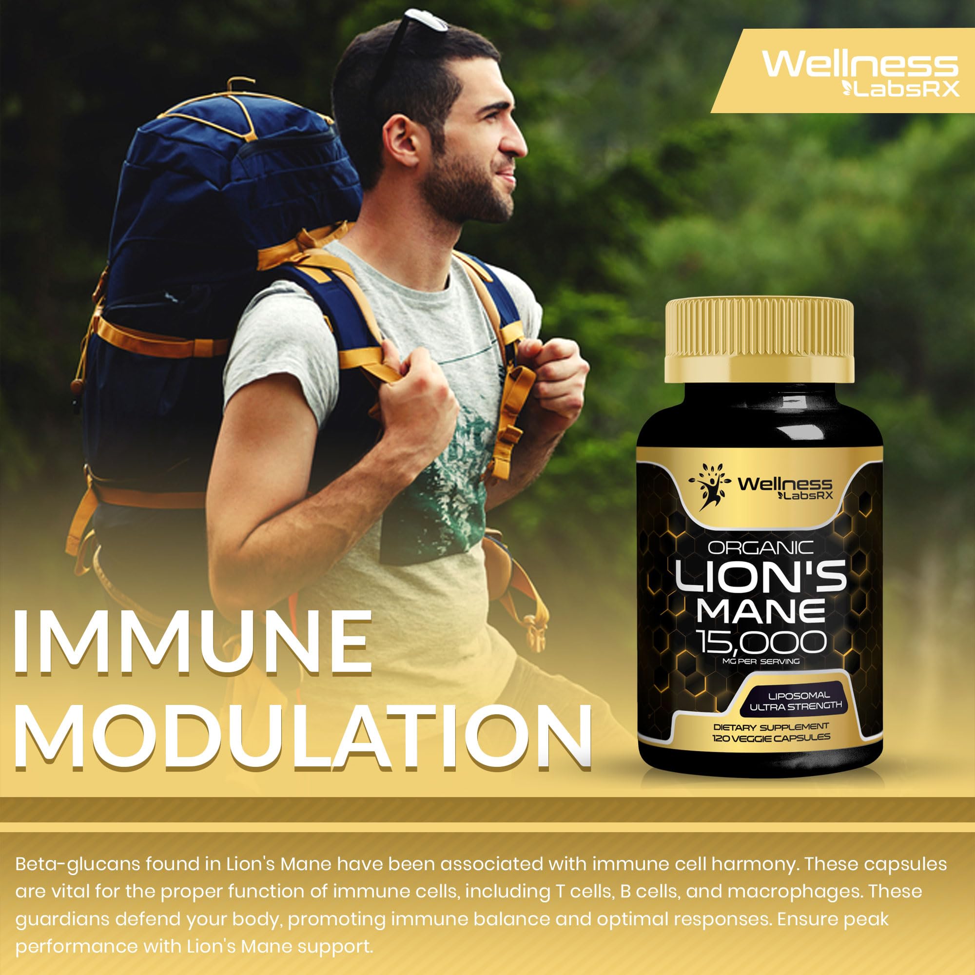 Lions Mane Supplement Capsules - 120 Count - Mushroom Supplement, Brain Supplements WELLNESS LABSRXUS supplements