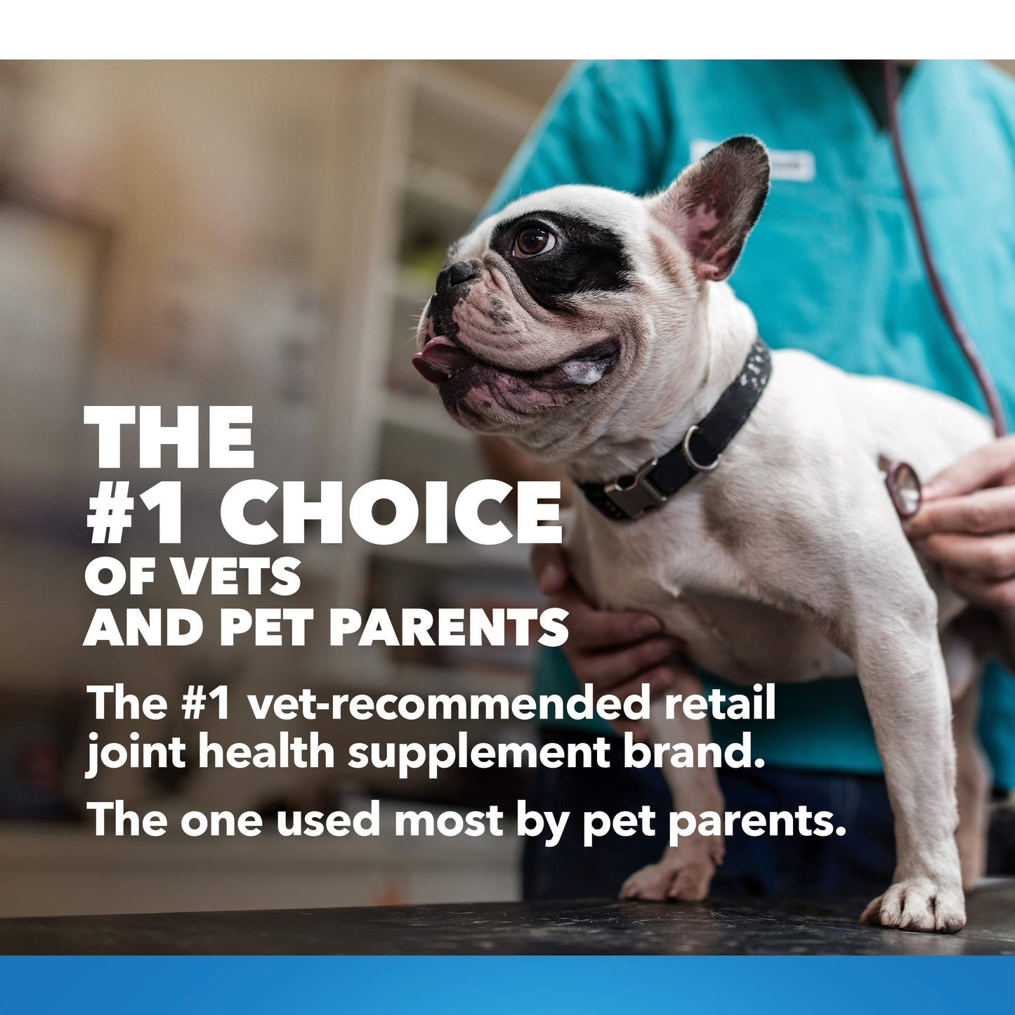 Nutramax Laboratories Cosequin Maximum Strength Joint Health Supplement for Dogs Nutramax LaboratoriesUS supplements
