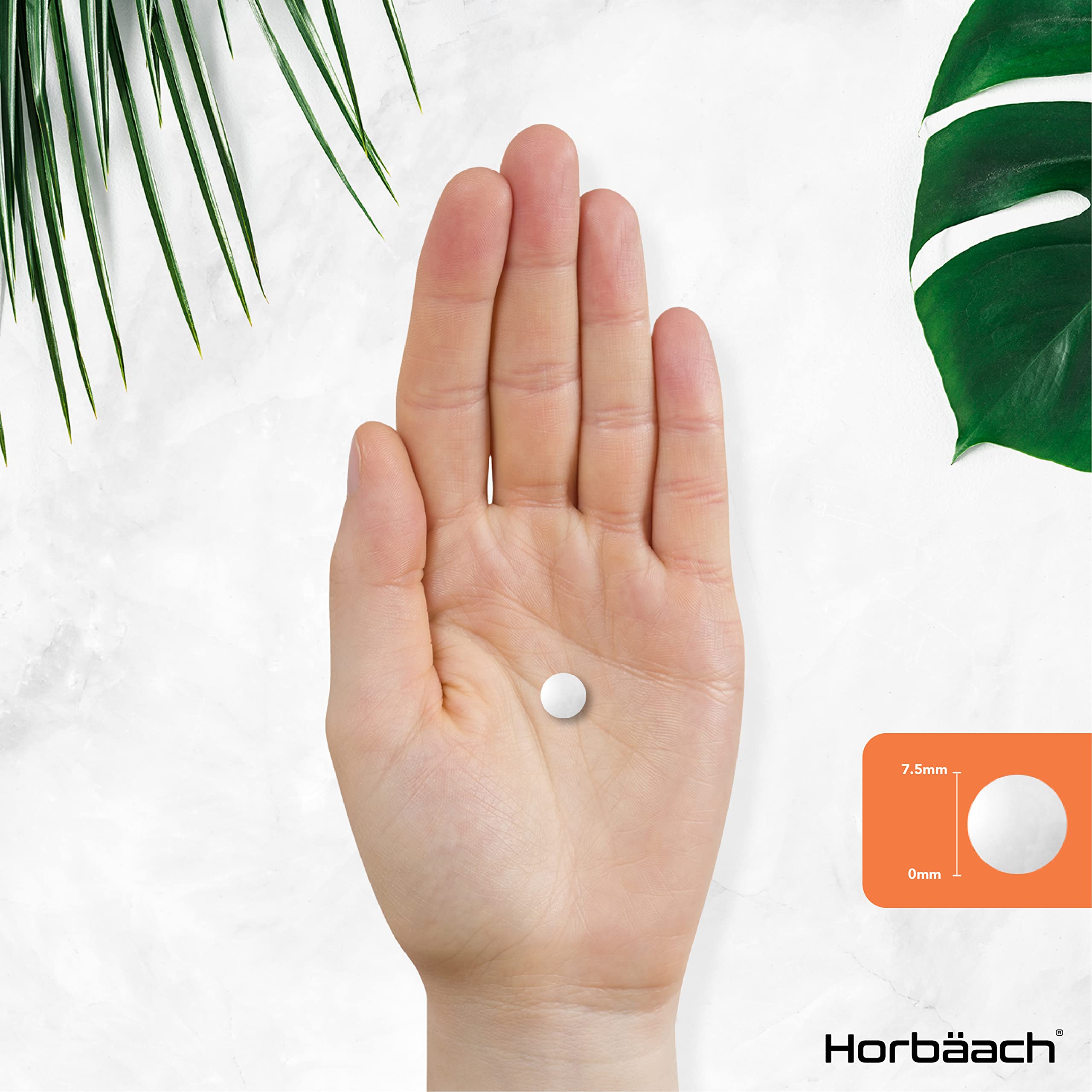 Vitamin B1 Thiamine High Strength 100mg | 120 Vegan Tablets | No Artificial HorbäachUS supplements