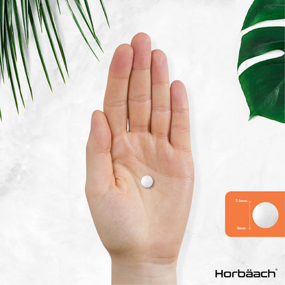 Vitamin B1 Thiamine High Strength 100mg | 120 Vegan Tablets | No Artificial HorbäachUS supplements