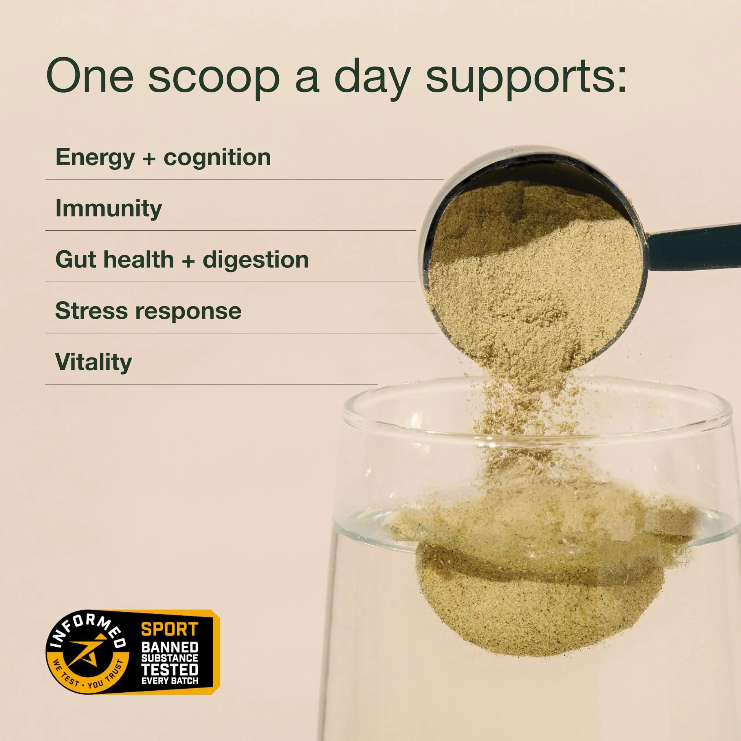 Nuzest Greens Powder Good Green Vitality – Vitamins, Minerals & Superfoods – Vegan Multivitamin Supplement (300g) Nuzestnz supplements