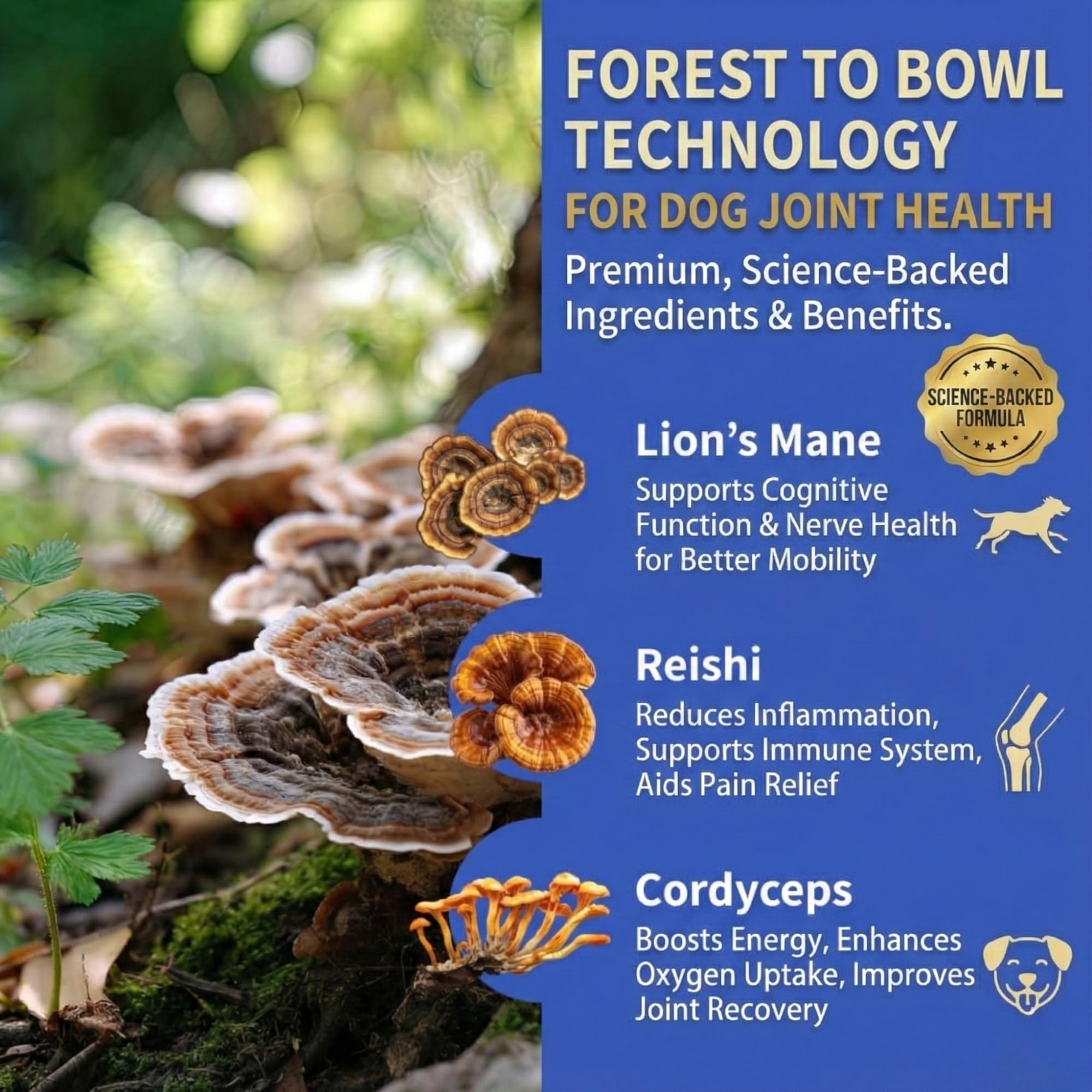 Fifth & Fido Joint Supplement for Dogs - Glucosamine for Dogs - Pet Vitamins and Supplements Powder with Chondroitin & MSM - Hip & Joint Support for Mobility, Stiffness & Flexibility - Mushroom Blend Fifth & FidoAu supplements