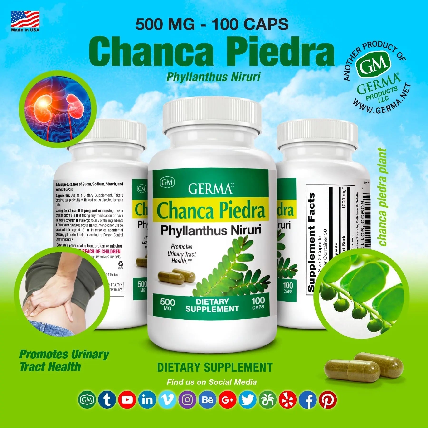 Germa Chanca Piedra Supplement – 500mg Phyllanthus Niruri – Traditional Stone Breaker Herb for Urinary & Kidney Support – Rainforest Botanical – 100% Natural Vegan Capsules, 100 Count GermaAu supplements