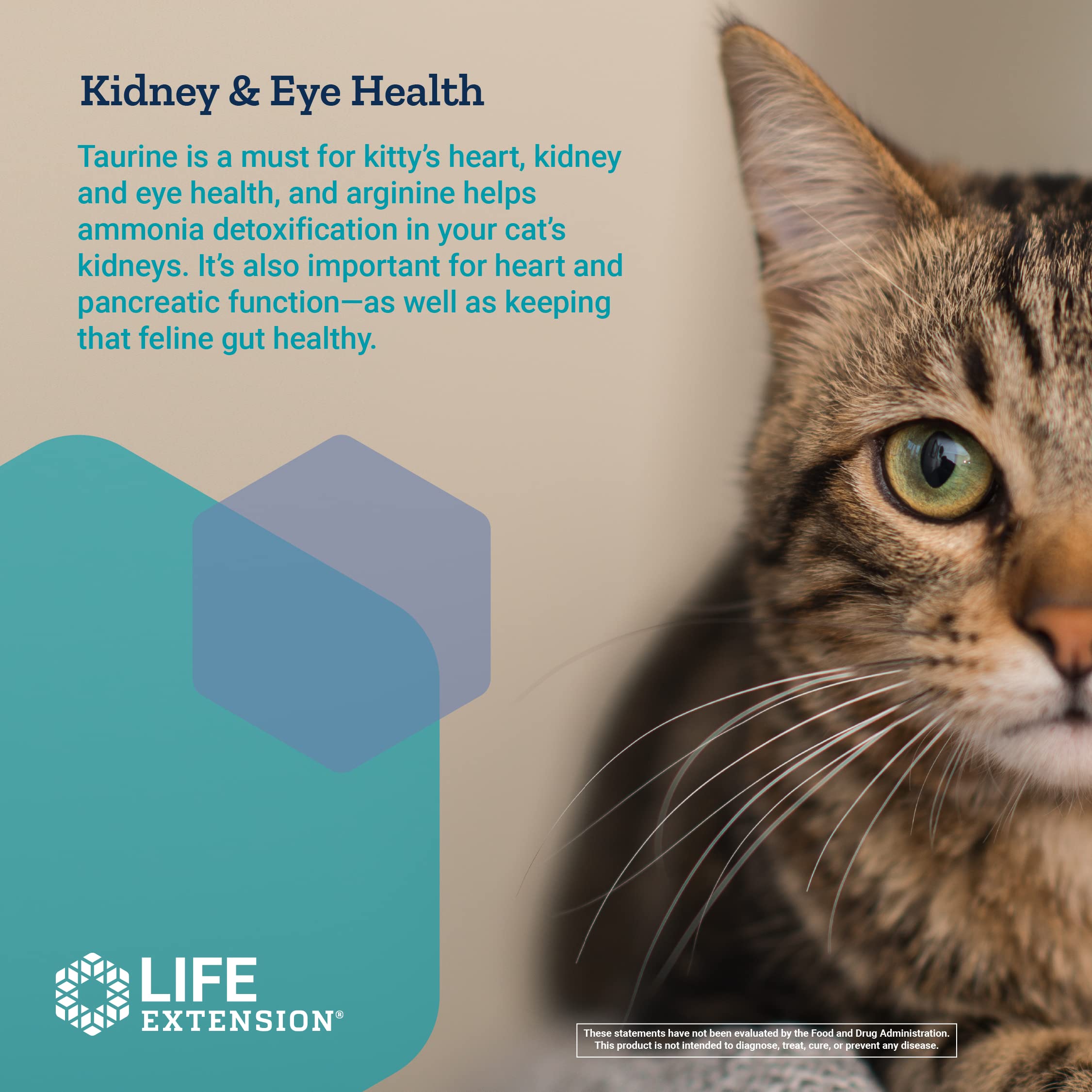 Life Extension Cat Mix – For Heart, Kidney & Pancreatic Function + Gut Health Life ExtensionUS supplements