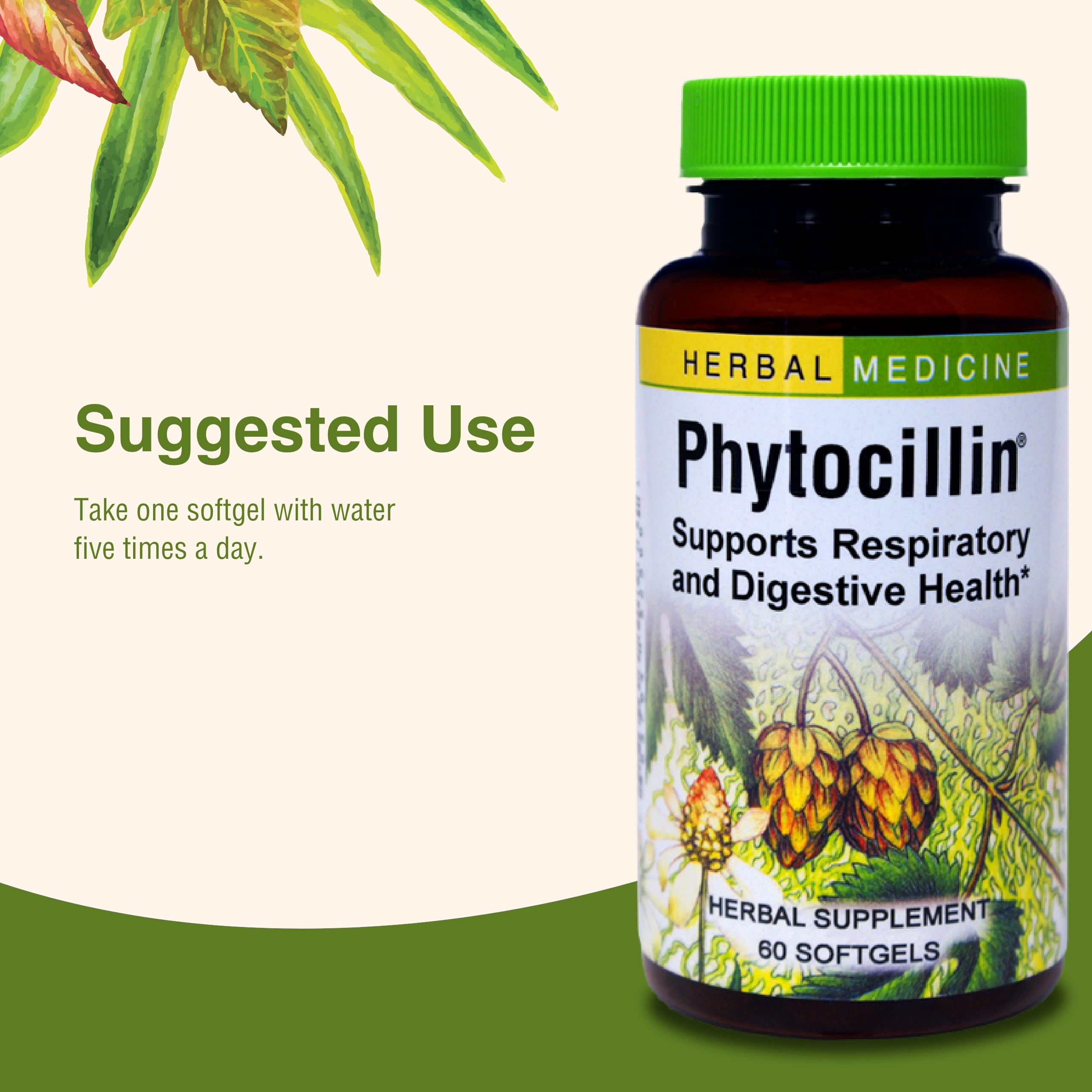 Herbs Etc. Phytocillin - Respiratory & Digestive Health Support Supplement - Herbal Formula to Support Digestion - Support Healthy Breathing - 60 Softgels (60 Servings) Herbs Etc.Au supplements