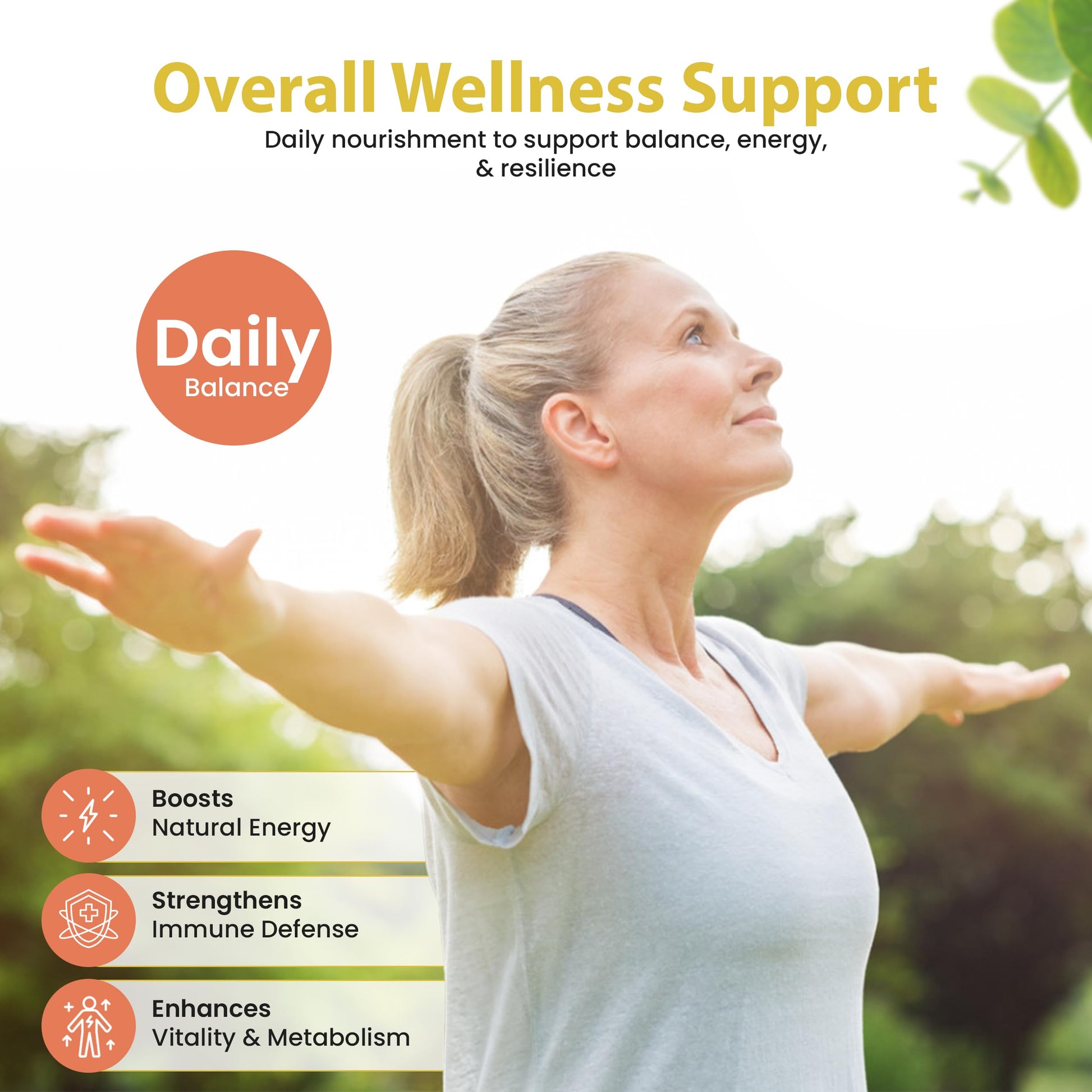 Bella All Natural Moringa Capsules 60 Count - Moringa Oleifera Leaf Supplement with Pomegranate & Elderberry Flavor, Pure Organic Moringa Capsules for Immune, Energy & Skin Health Support Bella All NaturalAu supplements