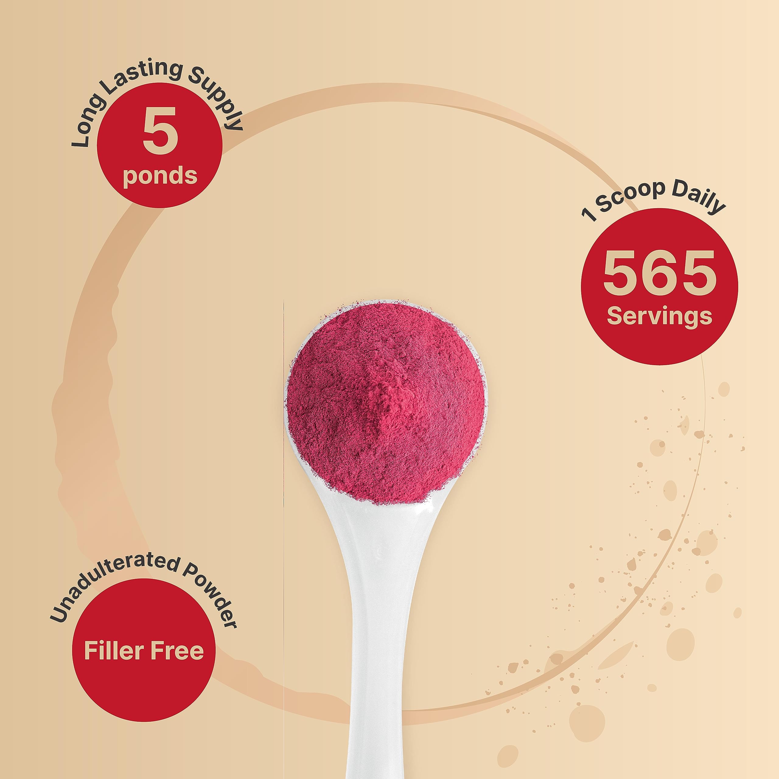 Organic Beet Root Powder 5Lbs | 4,000mg Per Serving – Concentrated Whole Beet Root NatureBellAu supplements