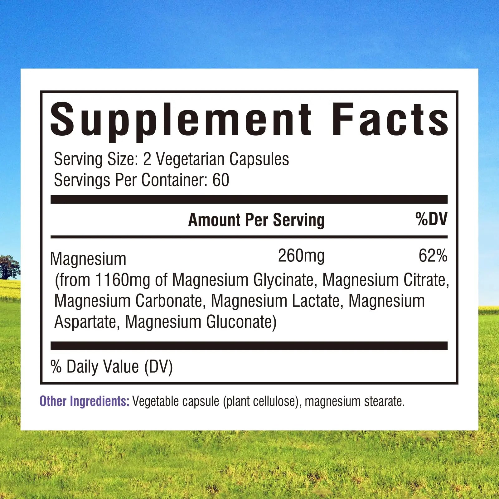 Innate Vitality Magnesium Complex 6-in-1, 1160mg Per Serving, Rest & Digestion, Magnesium Glycinate & Citrate, High Absorption, 120 Vegan Capsules Innate Vitalitynz supplements