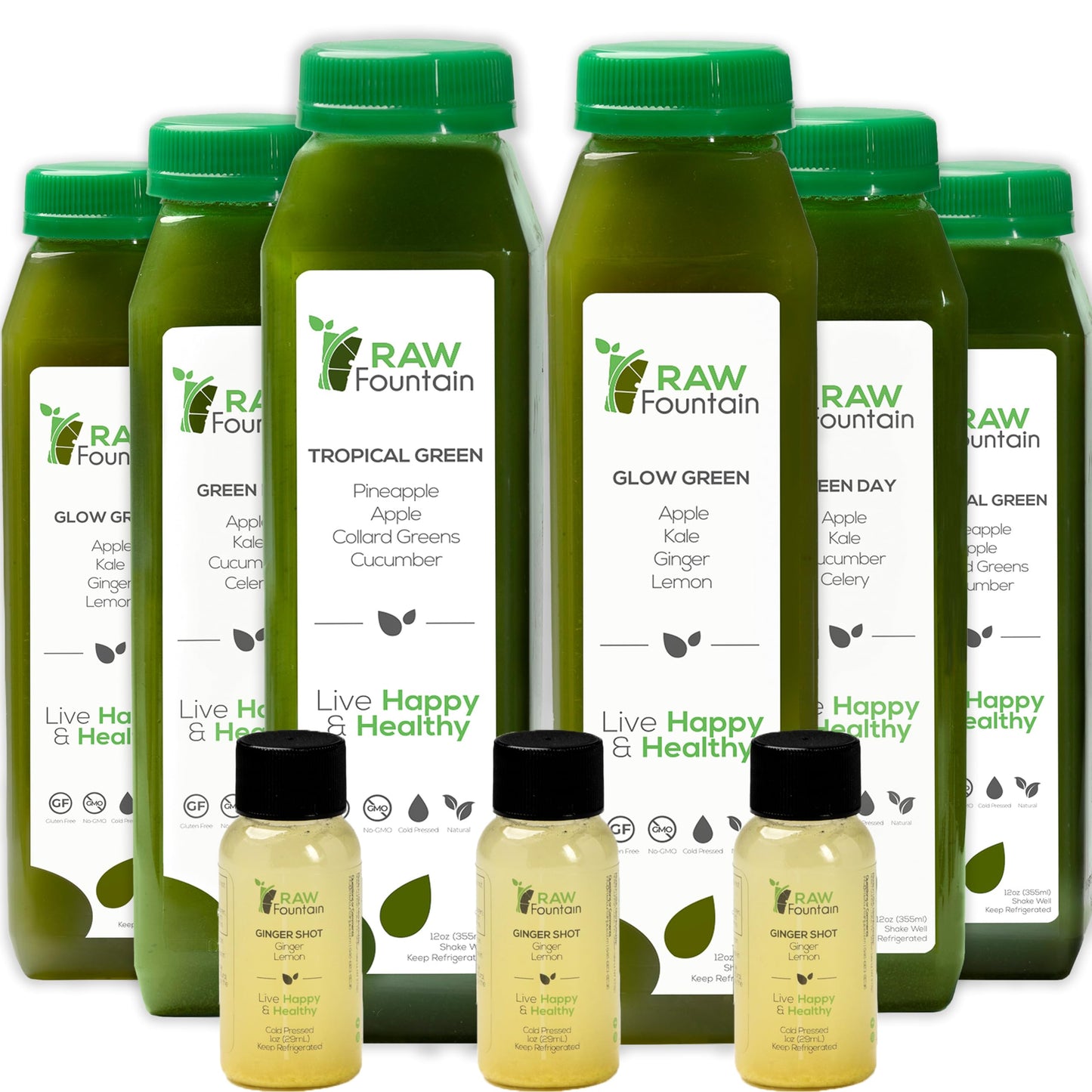 1 Day Green Juice Cleanse by Raw Fountain, All Natural Raw, Vegan Detox, Cold Pressed Raw FountainUS supplements