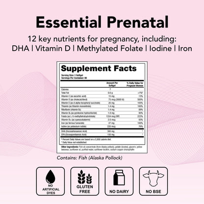 Theralogix TheraNatal One Prenatal Vitamin - 90-Day Supply - Prenatal Multivitamin TheralogixUS supplements