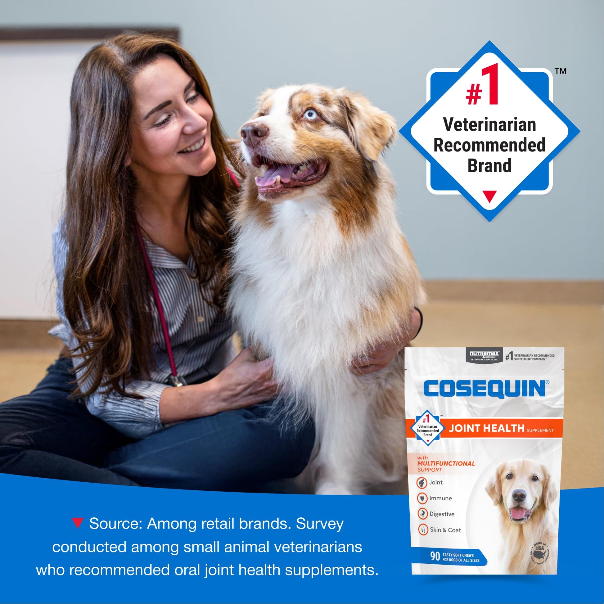 Nutramax Cosequin Joint Health Supplement with Multifunctional Support for Dogs, Soft Chews with Glucosamine, Chondroitin, Omega-3s, and Postbiotics, 90 Count Nutramax LaboratoriesAu supplements