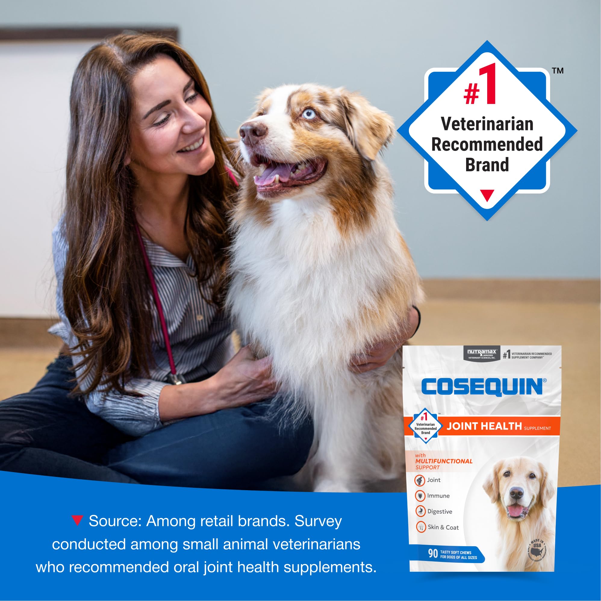 Nutramax Cosequin Joint Health Supplement with Multifunctional Support for Dogs, Soft Chews with Glucosamine, Chondroitin, Omega-3s, and Postbiotics, 90 Count Nutramax LaboratoriesAu supplements