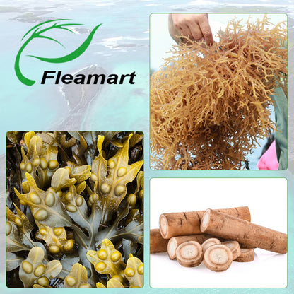 Fleamart Irish Sea Moss Capsules 120ct Raw Organic Sea Moss Wildcrafted Bladderwrack FleamartUS supplements