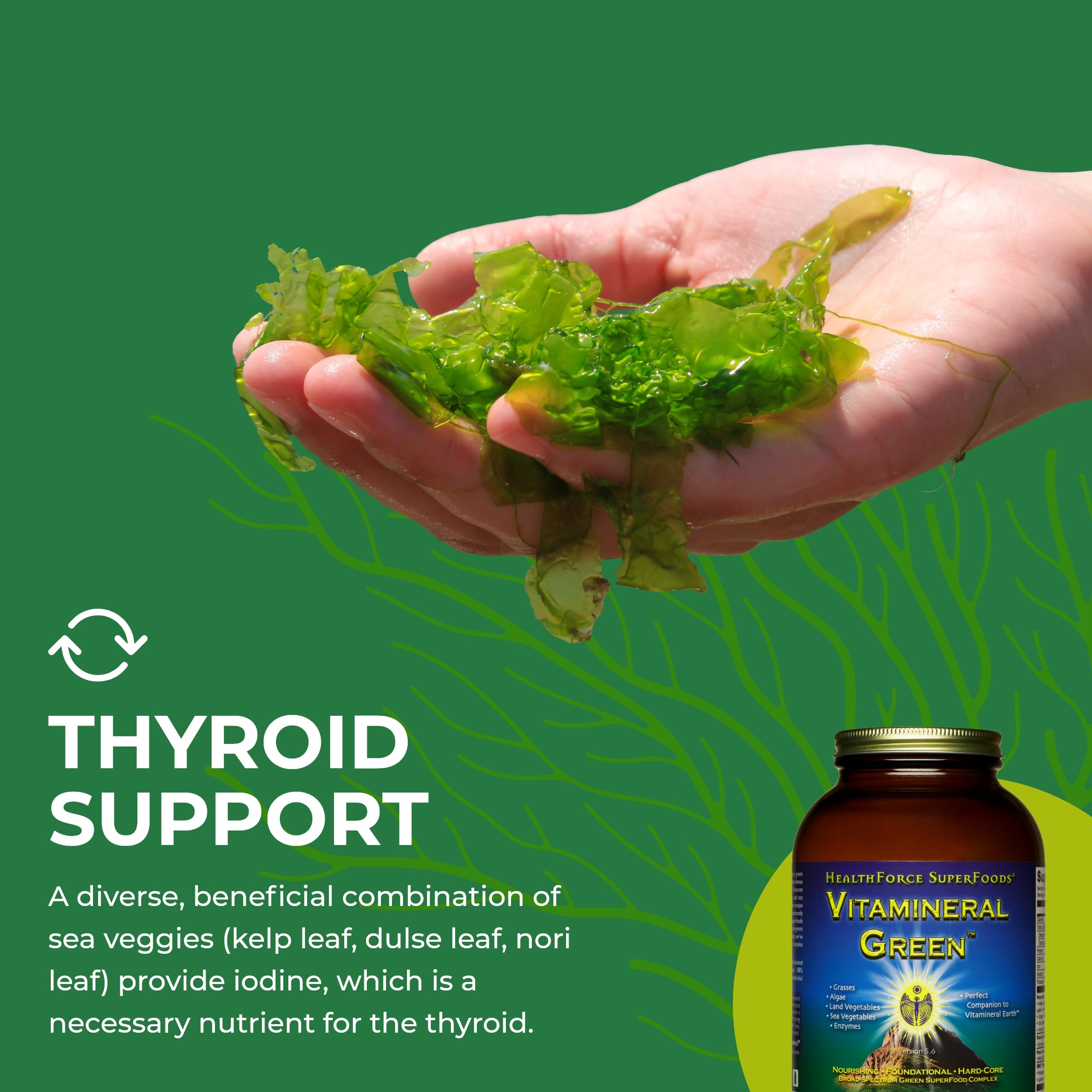 HEALTHFORCE SUPERFOODS Vitamineral Green - Mineral Supplement for Immune & Thyroid Support - Green Powder Supplement with Ingredients from The Land - Gluten-Free & Vegan - 500 Grams HEALTHFORCE SUPERFOODSAu supplements